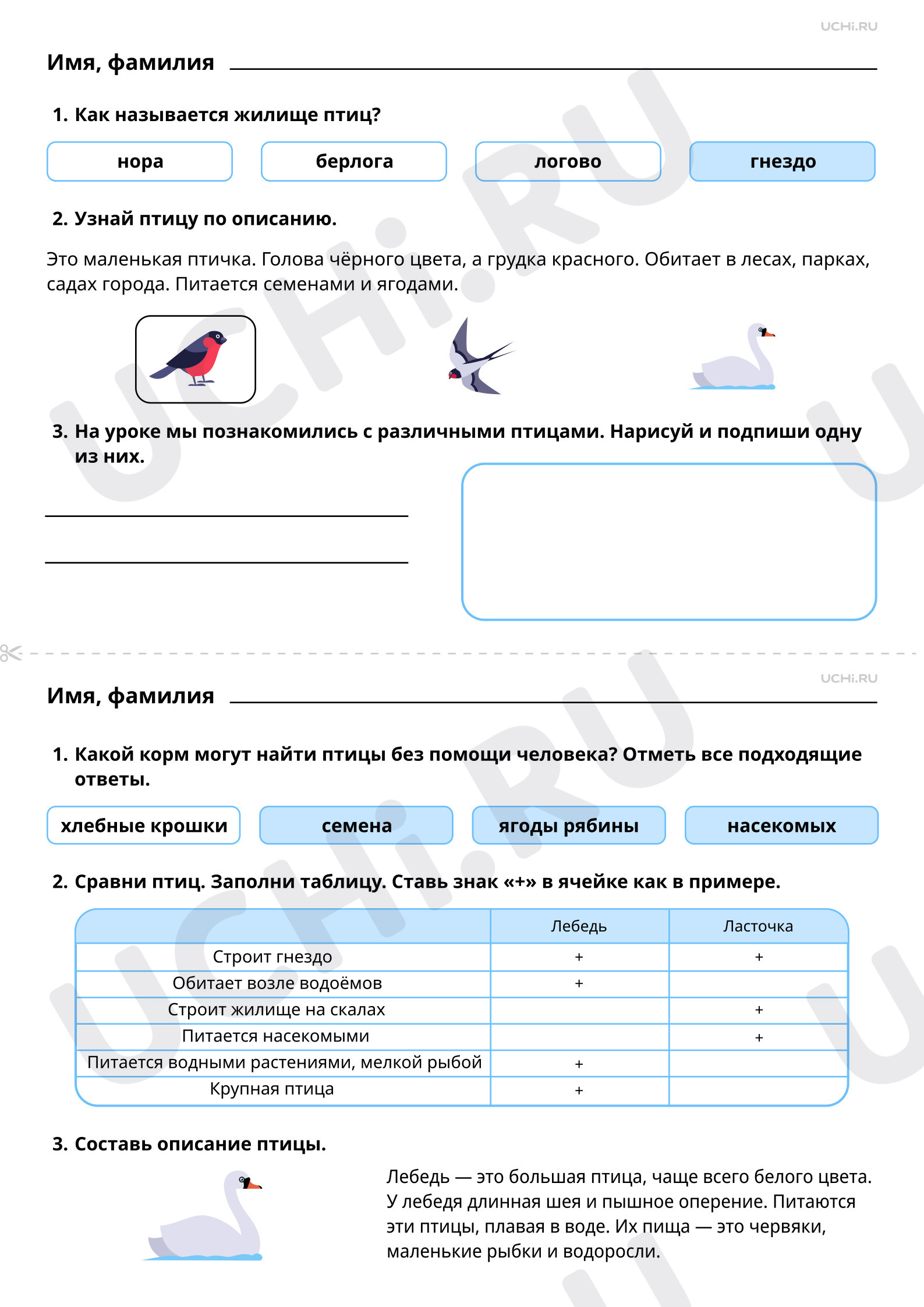Ответы к рабочим листам по теме «Где обитают птицы, чем они питаются.  Птицы: сравнение места обитания, способа питания»: Где обитают птицы, чем  они питаются. Птицы: сравнение места обитания, способа питания | Учи.ру