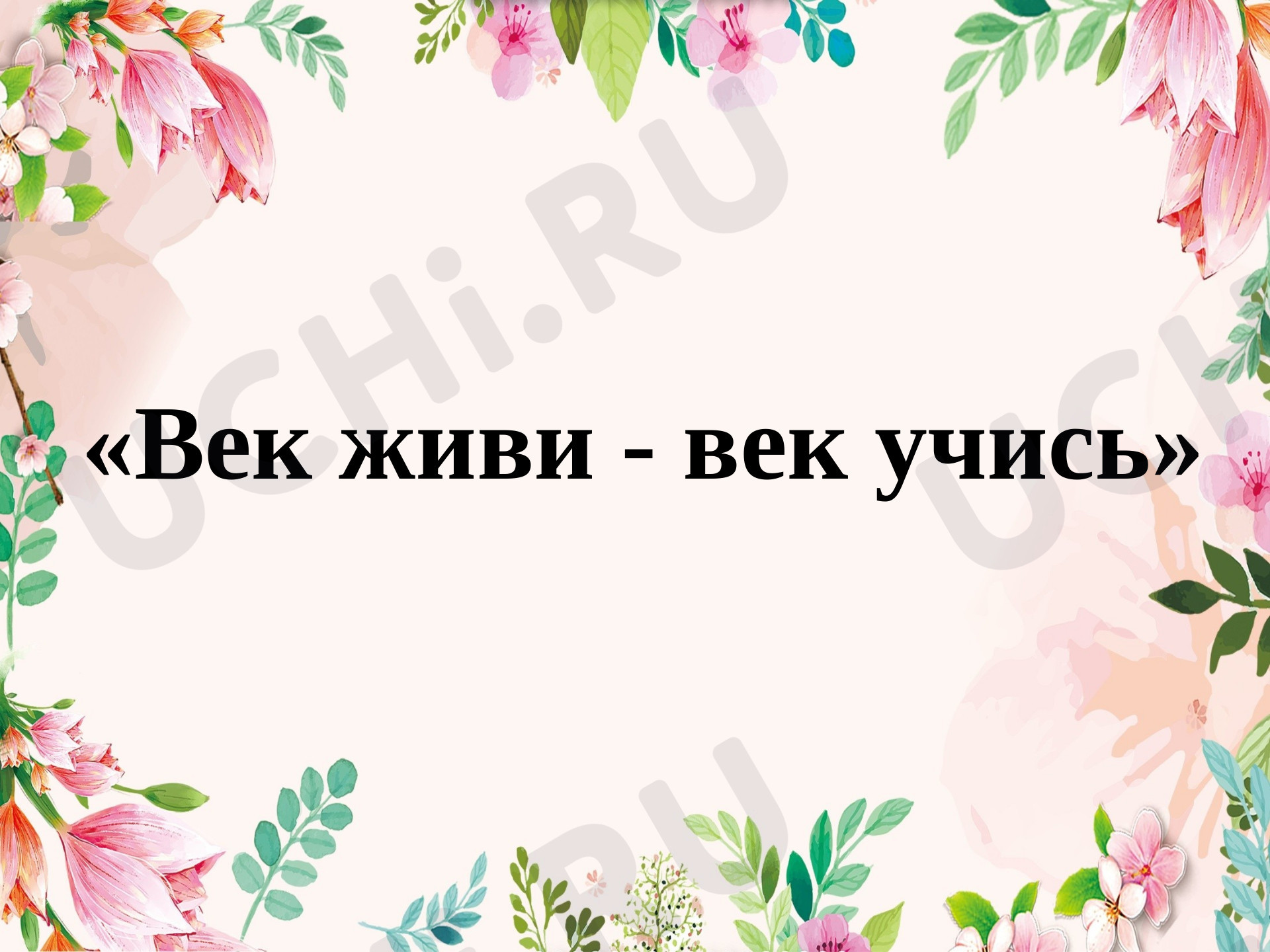 Предпросмотр материала Презентация к уроку литературного чтения по теме: "Сказка о царе Салтане..." А. С. Пушкин