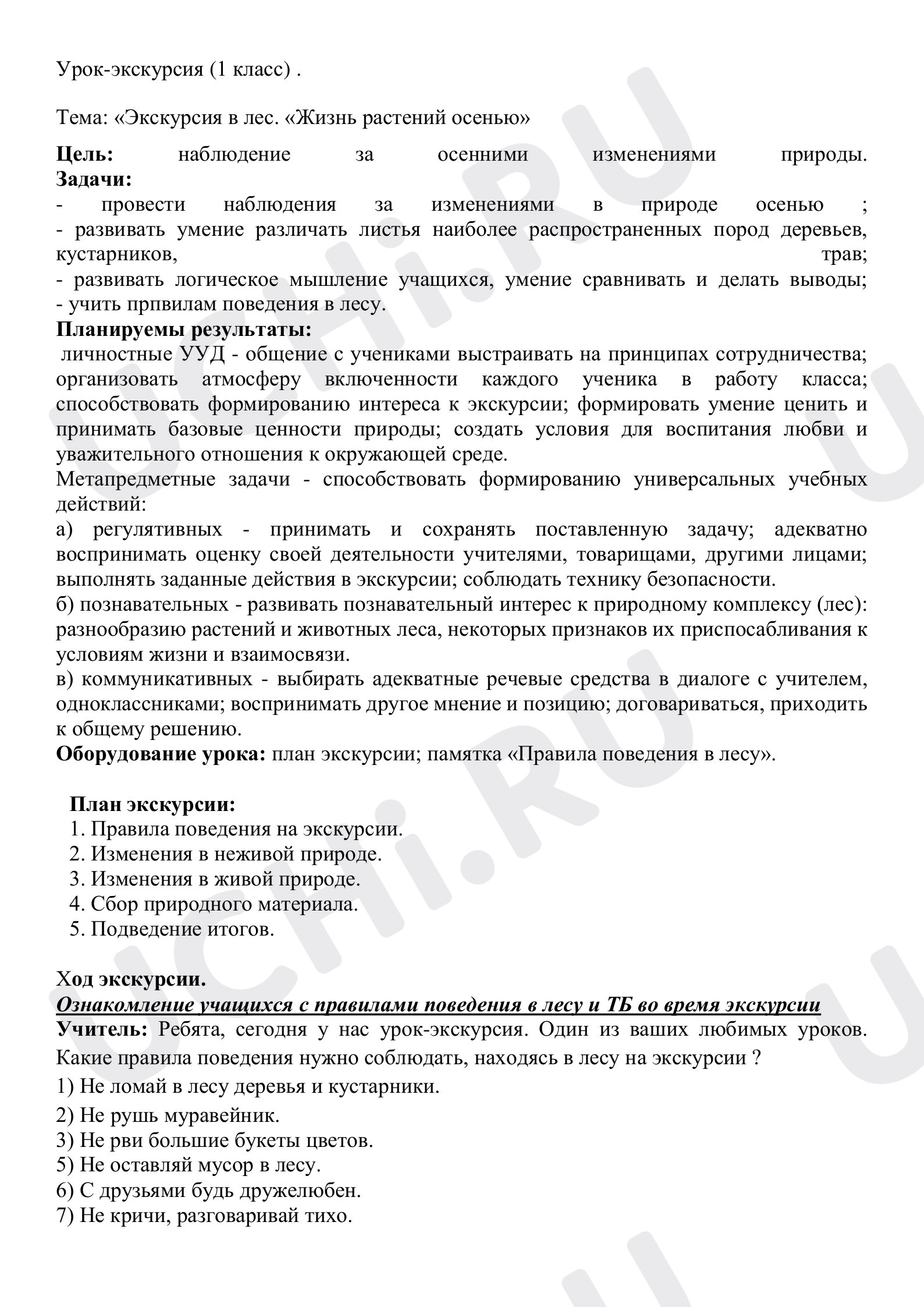 Предпросмотр материала Экскурсия в лес: жизнь растений осенью