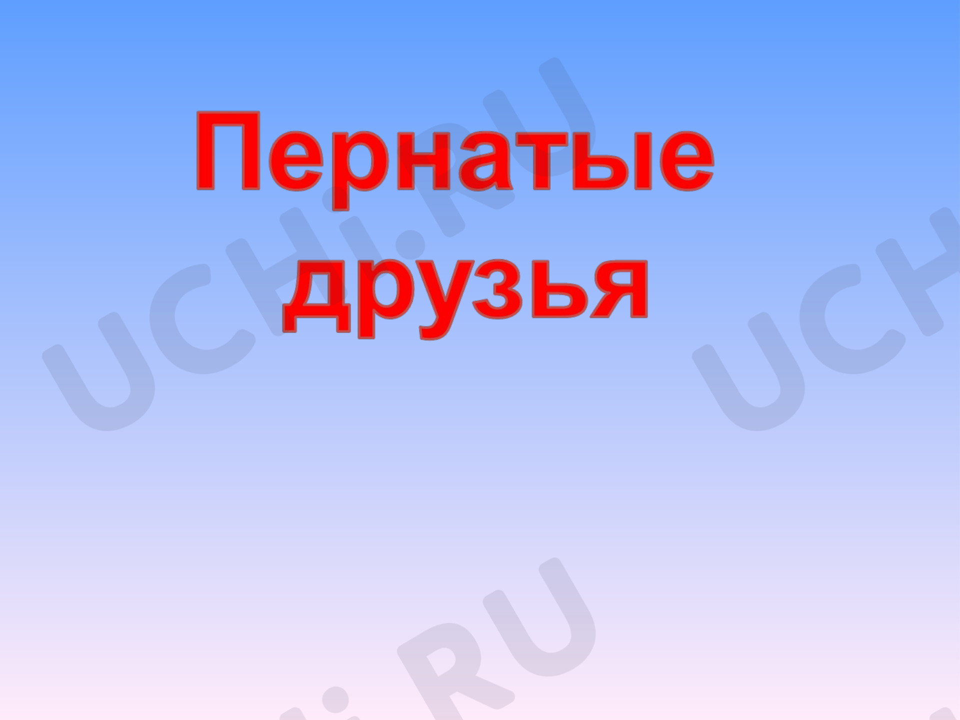 Предпросмотр материала Презентация пернатые друзья.
