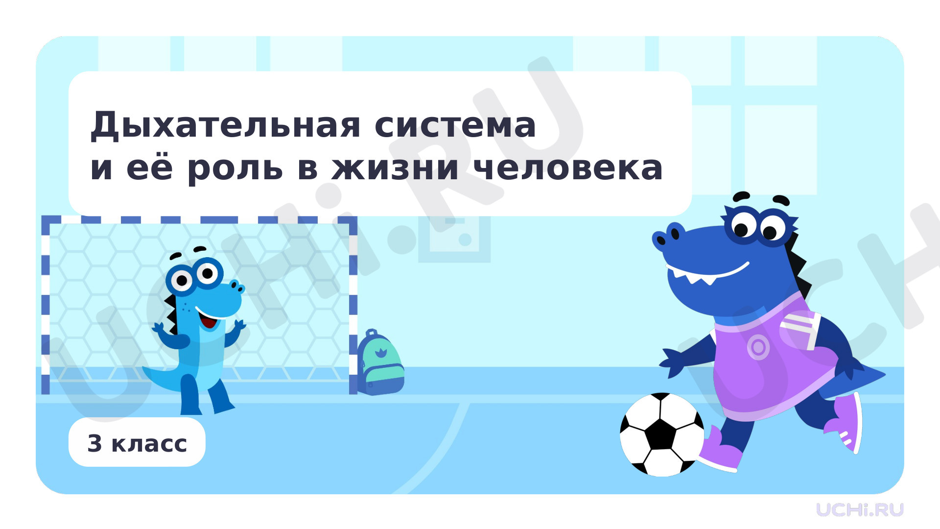 Предпросмотр материала Дыхательная система и её роль в жизни человека