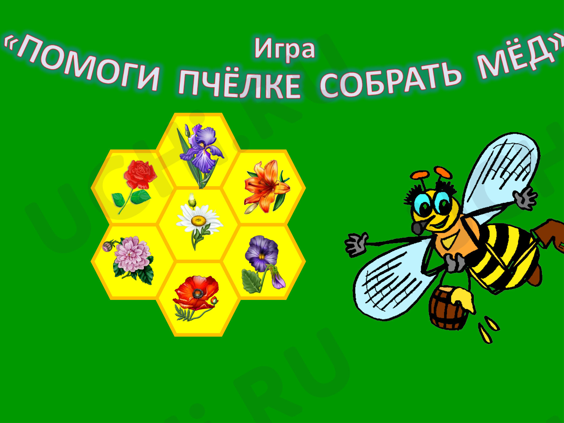 Предпросмотр материала Помоги пчёлке собрать мёд