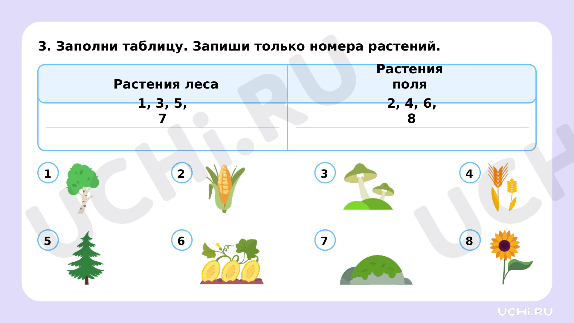 Окружающий мир для 2 четверти 1 класса. ЭОР | Подготовка к уроку от Учи.ру