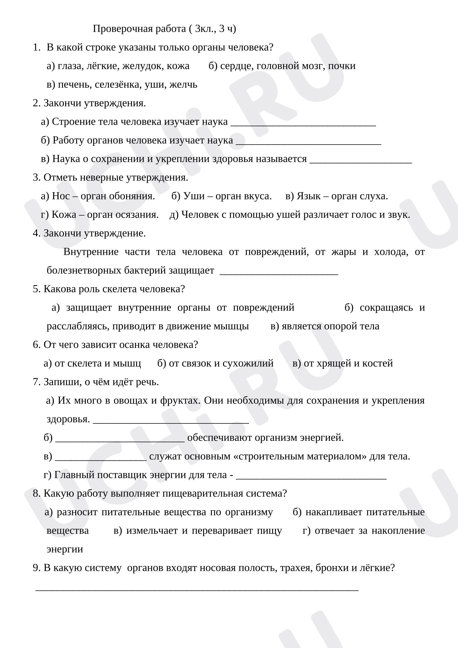 Предпросмотр материала Организм Человека