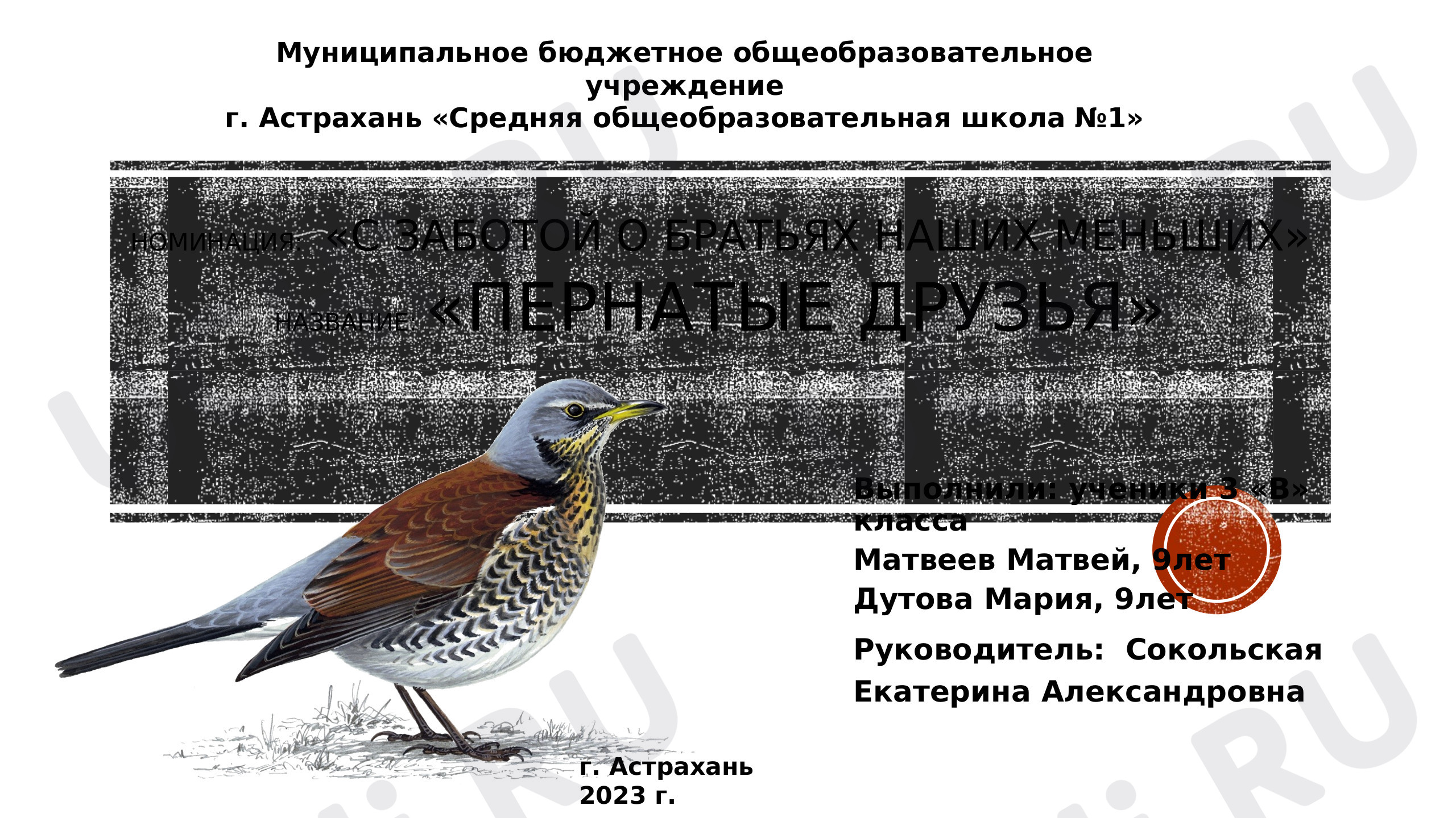 Предпросмотр материала Пернатые друзья родного края