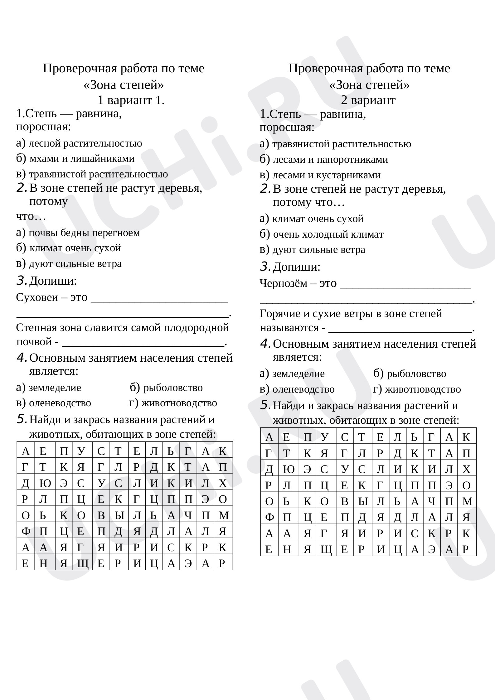 Предпросмотр материала Окружающий мир. Проверочная работа «Зона степей».