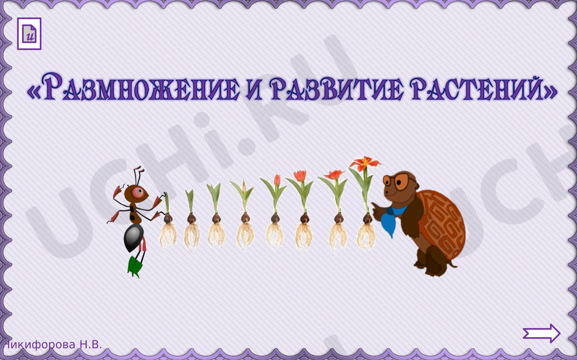 Предпросмотр материала Размножение и развитие растений