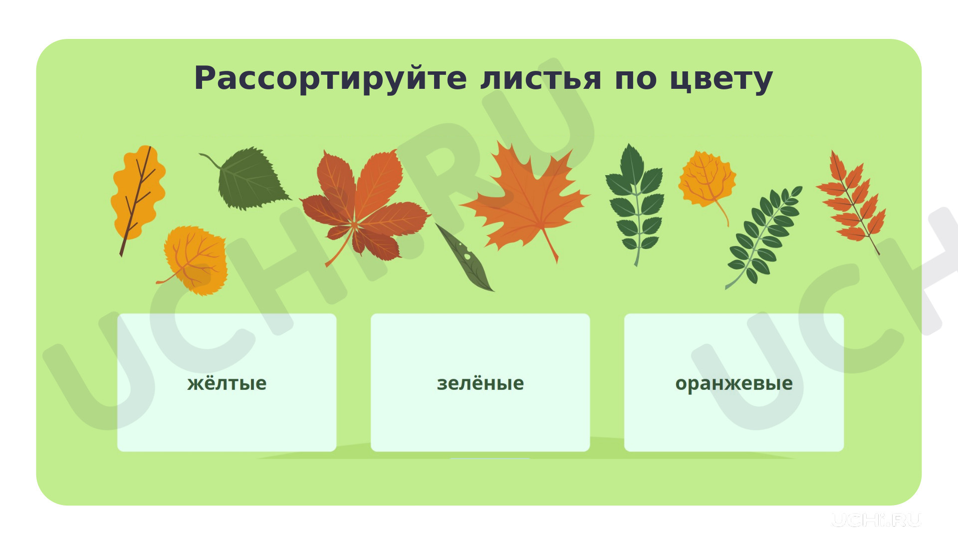 Окружающий мир для 2 четверти 1 класса. ЭОР | Подготовка к уроку от Учи.ру