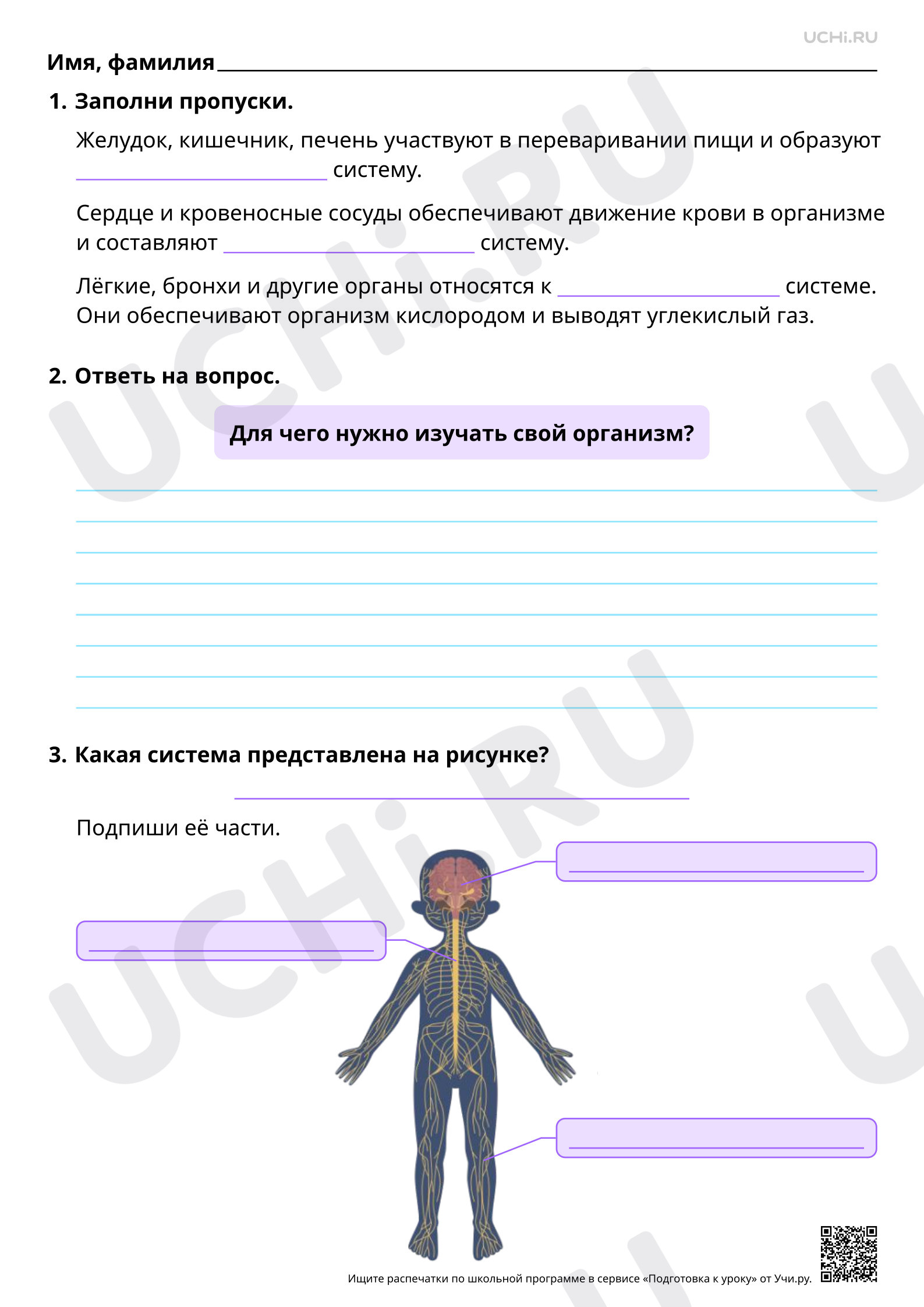 Предпросмотр материала Общее представление о строении организма человека. Повышенный уровень