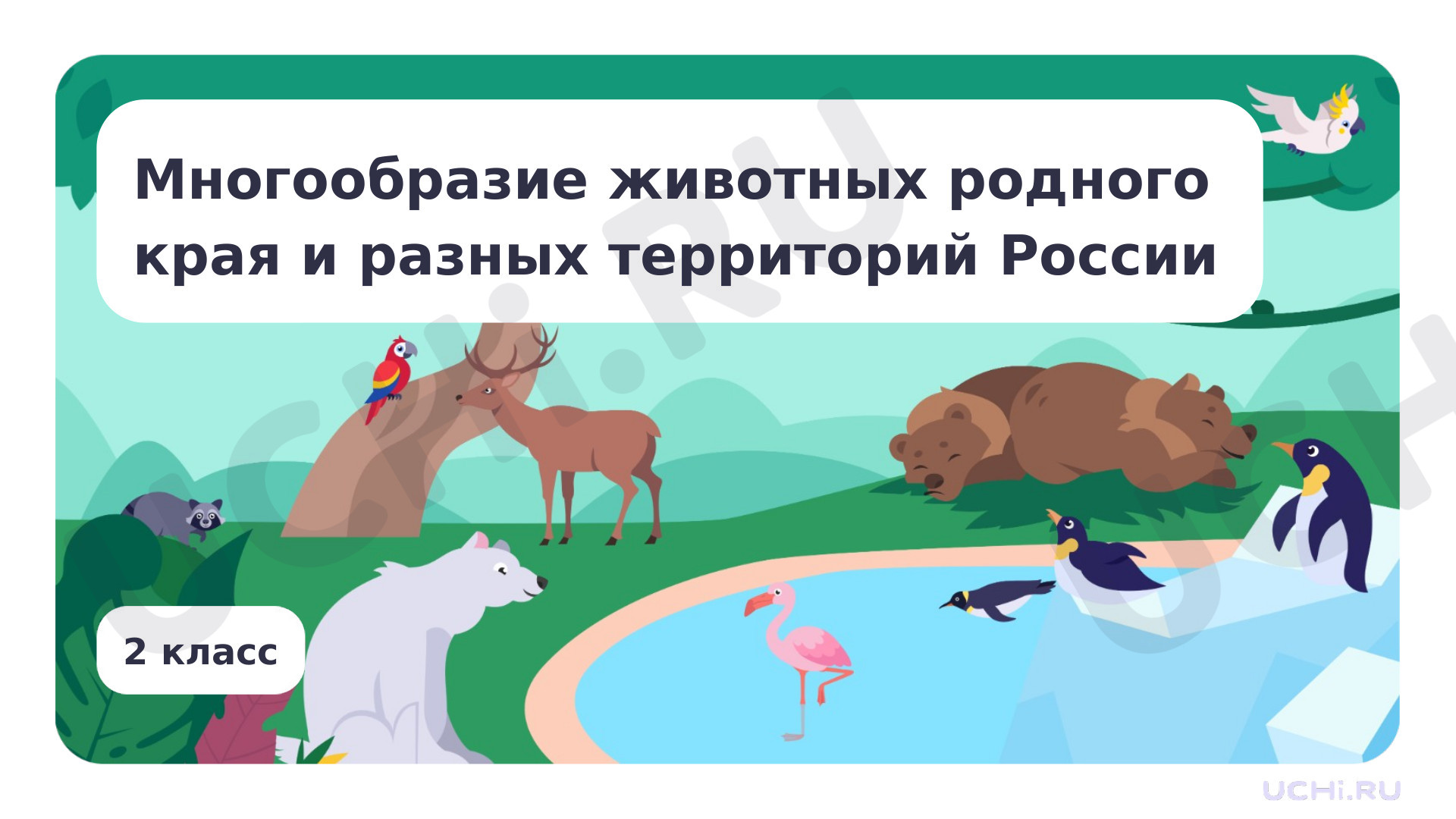 Предпросмотр материала Многообразие животных родного края и разных территорий России