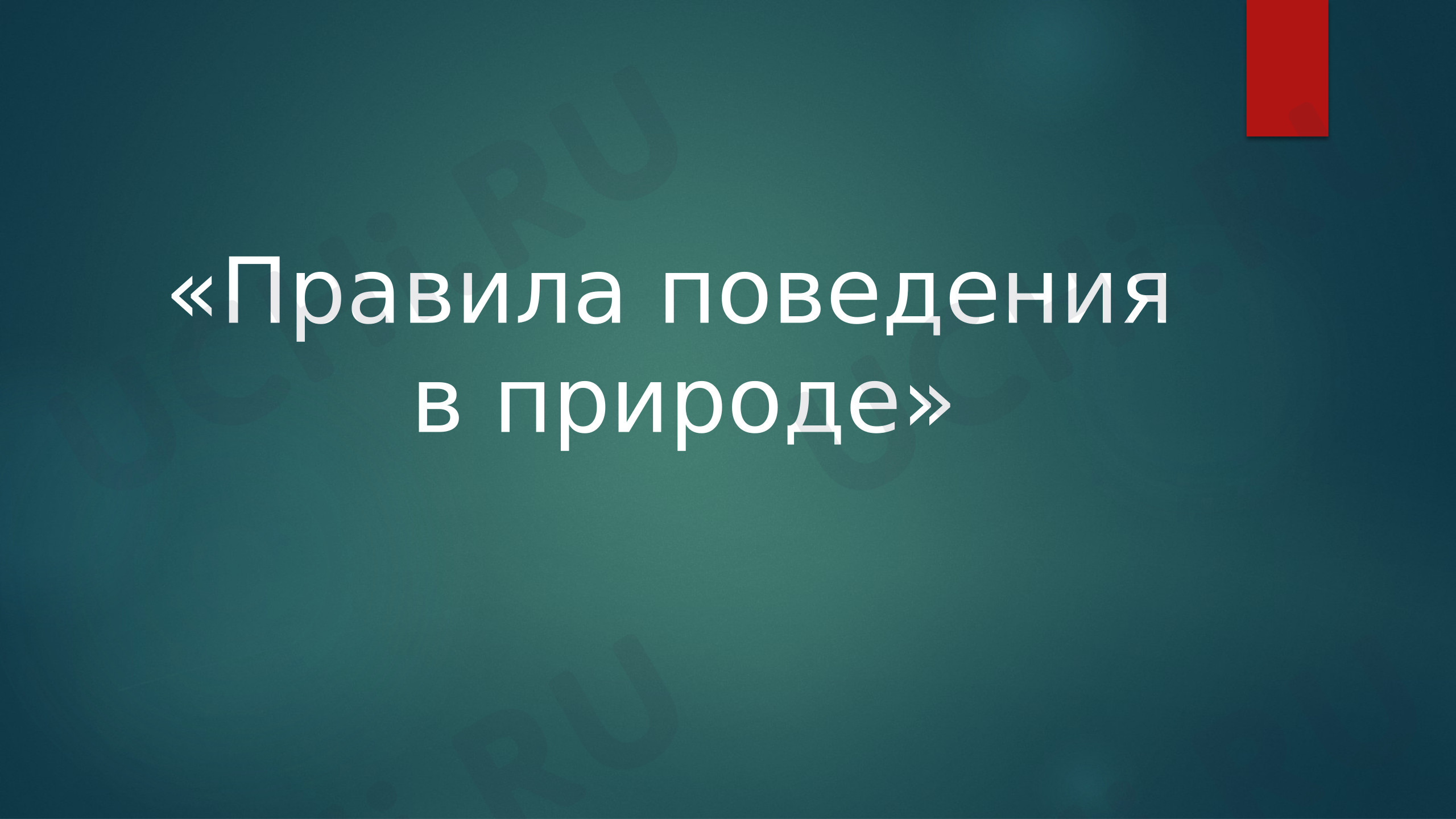 Предпросмотр материала Презентация к уроку окружающего мира. «Правила поведения в природе».