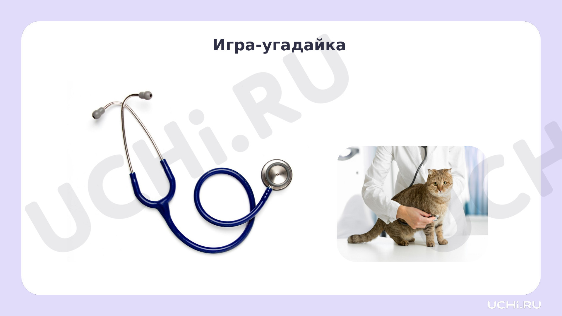 Кто заботится о домашних животных? Профессии людей, которые заботятся о  животных: Кто заботится о домашних животных. Профессии людей, которые  заботятся о животных. Мои домашние питомцы | Учи.ру