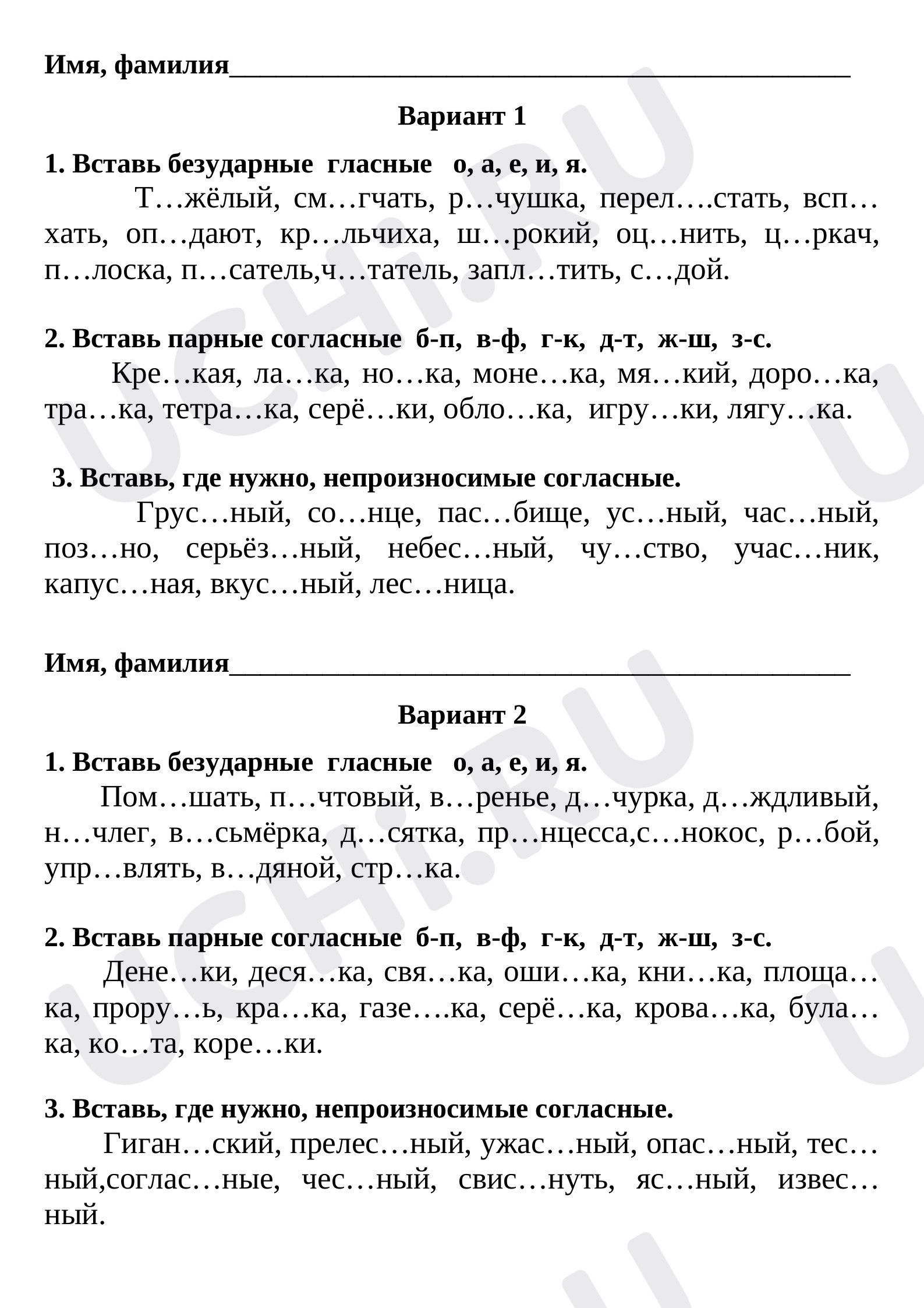 Предпросмотр материала Правописание гласных и согласных в корнях слов