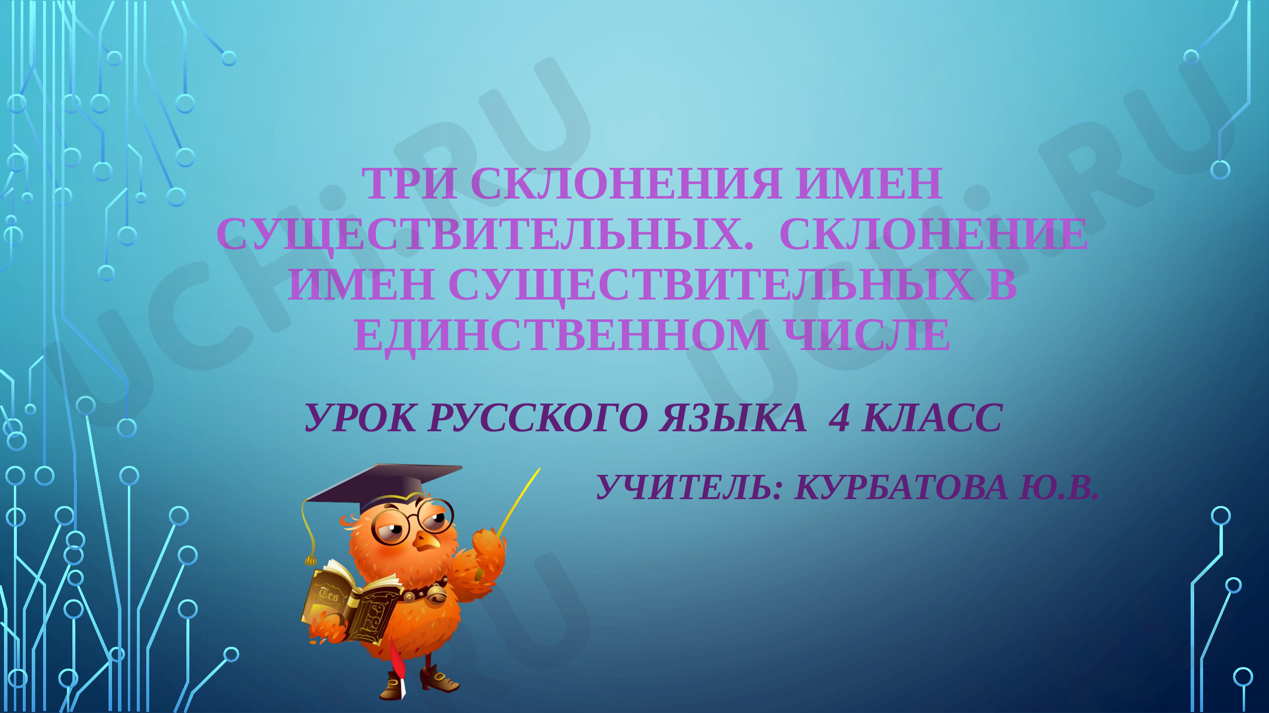 Предпросмотр материала Три склонения имен существительных