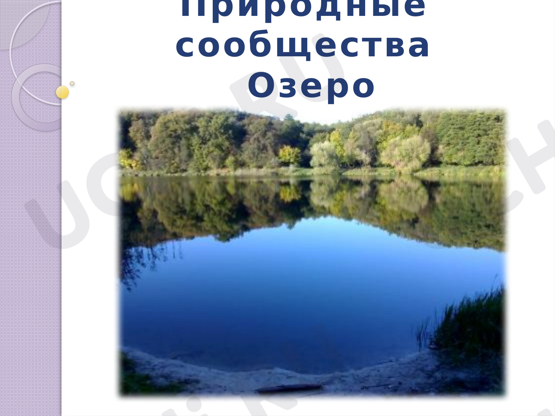 Предпросмотр материала Природные сообщества