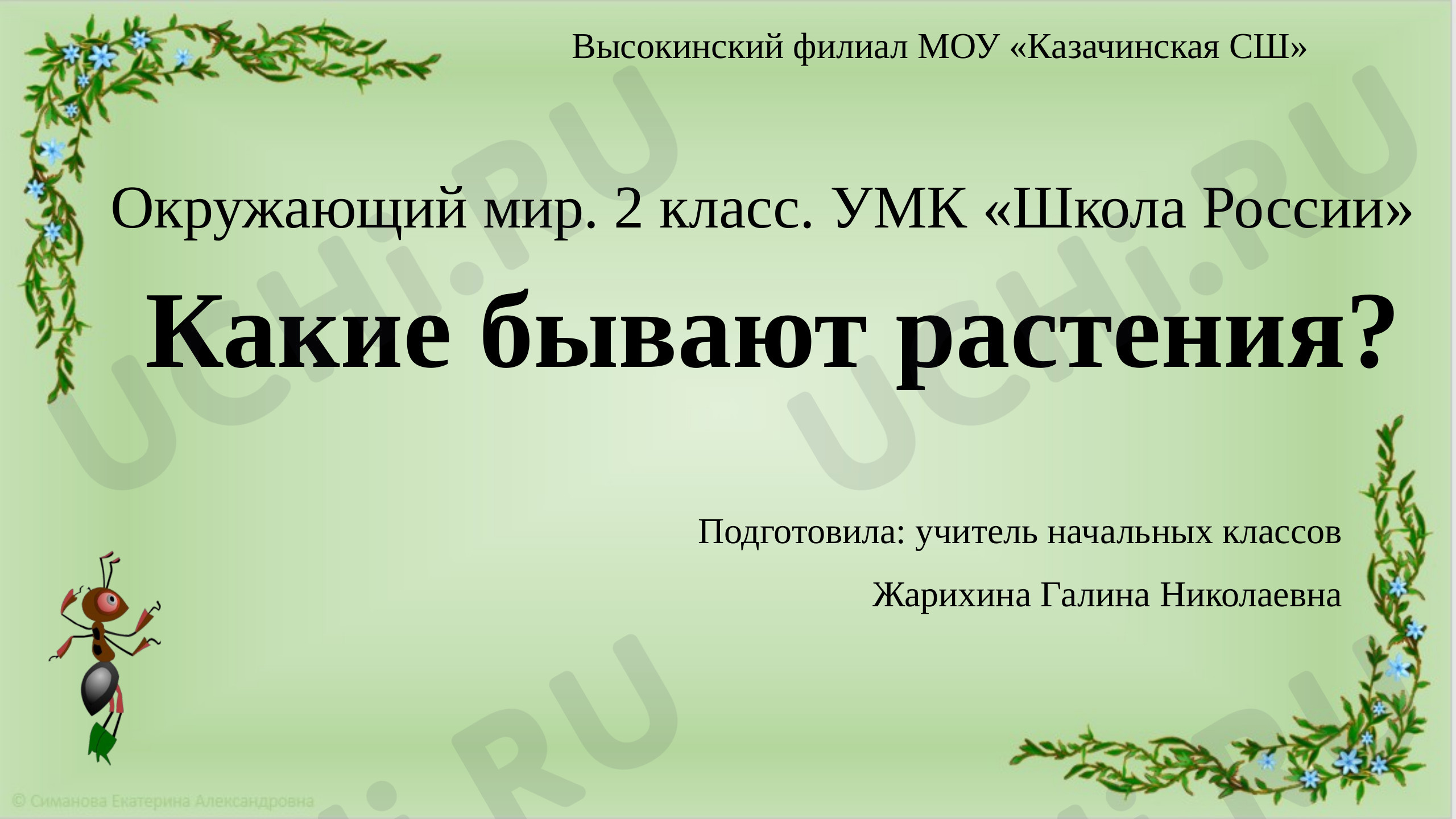 Предпросмотр материала Презентация к уроку окружающего мира по теме: "Какие бывают растения"