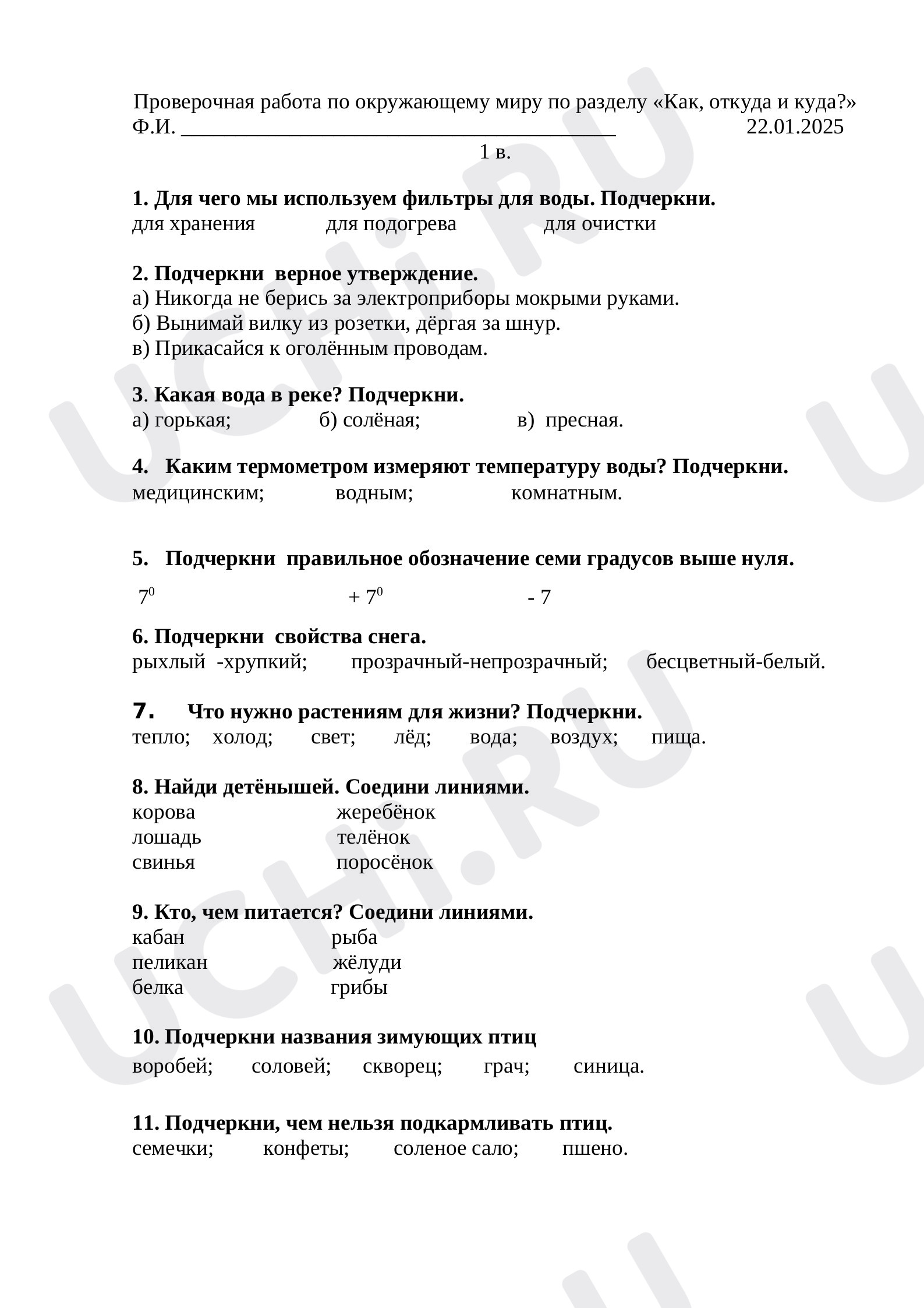Предпросмотр материала Проверочная работа по окружающему миру по разделу «Как, откуда и куда?»