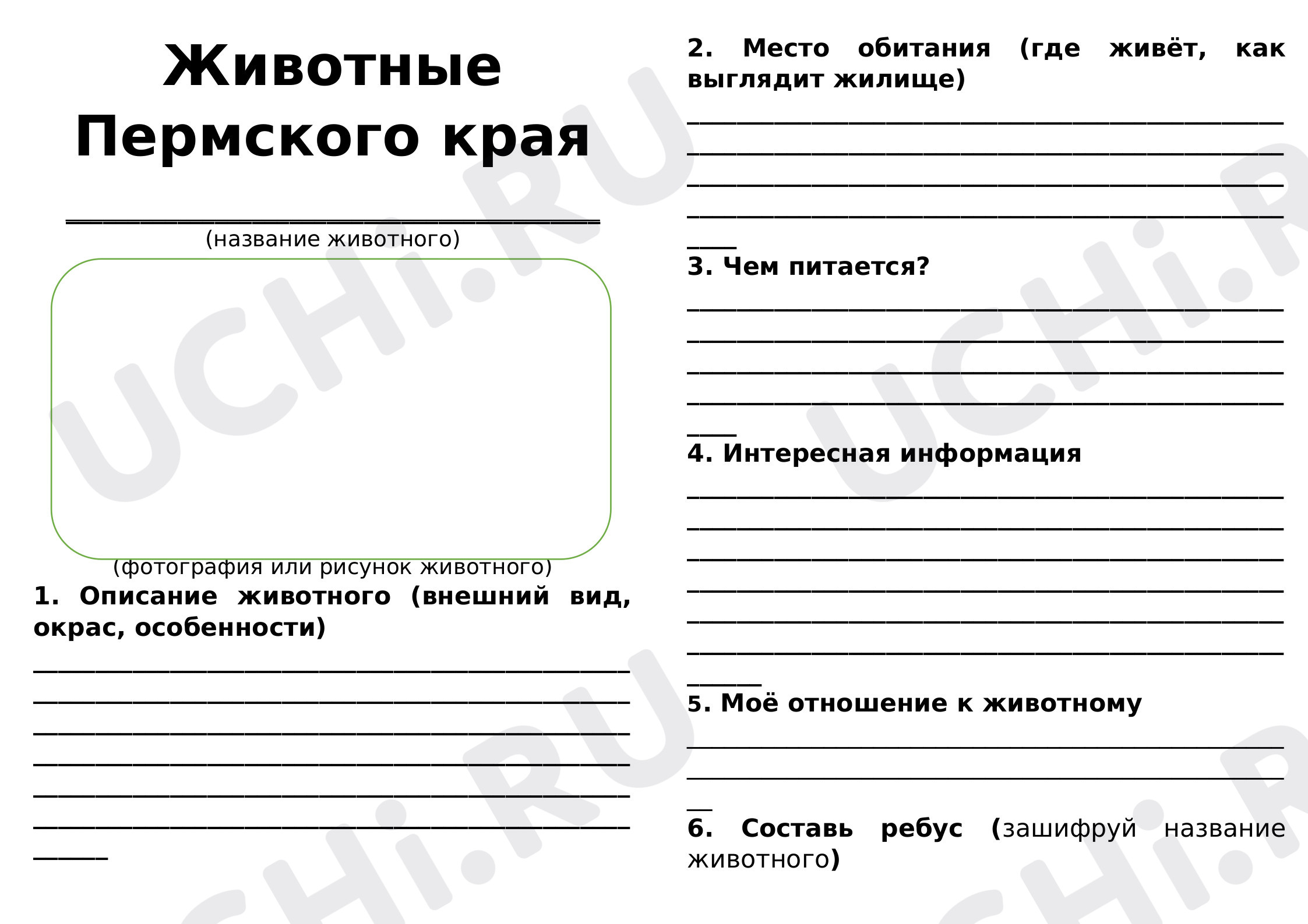 Предпросмотр материала Животные