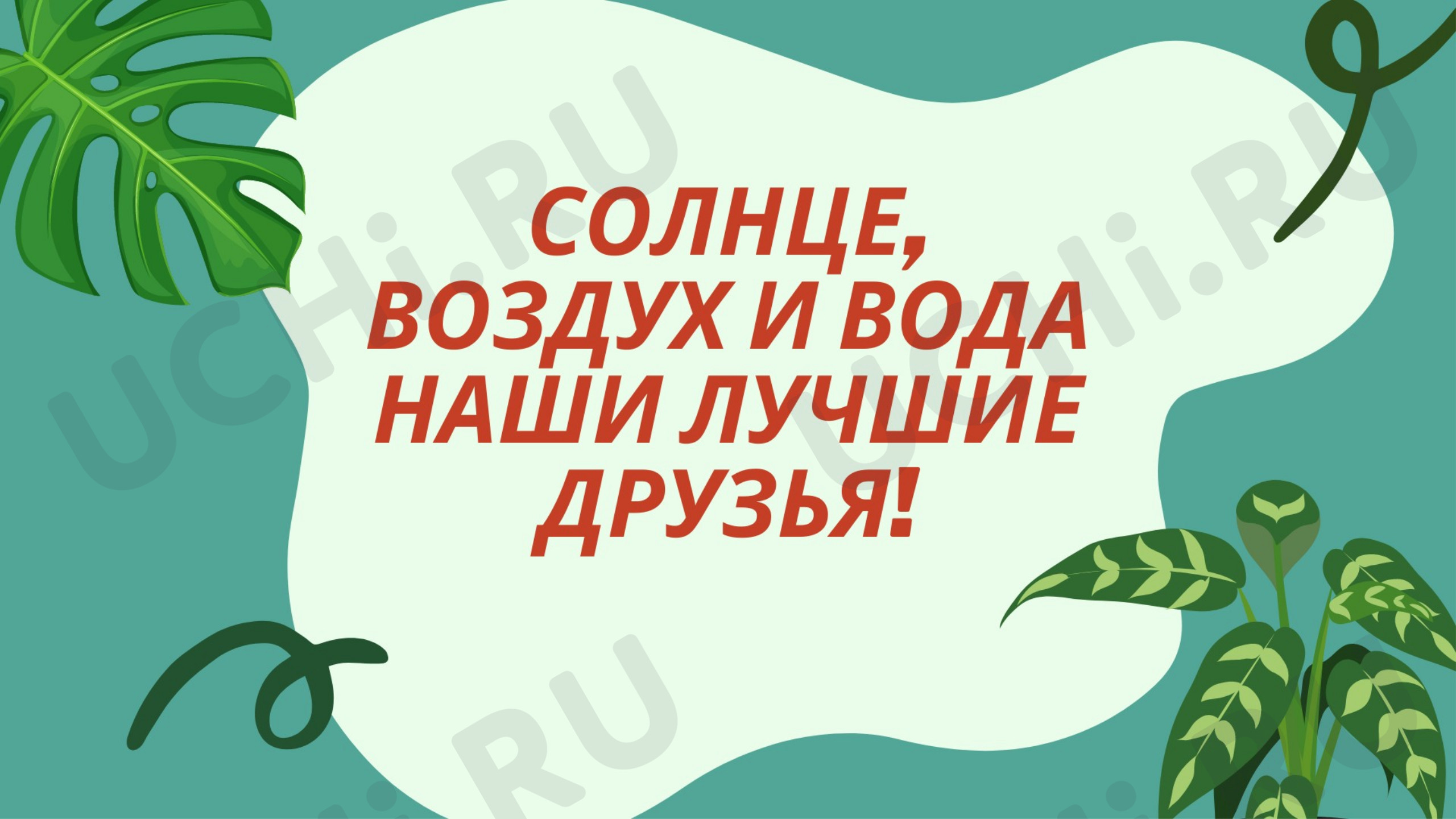 Предпросмотр материала Презентация к уроку окружающего мира по теме: "Разнообразие растений"