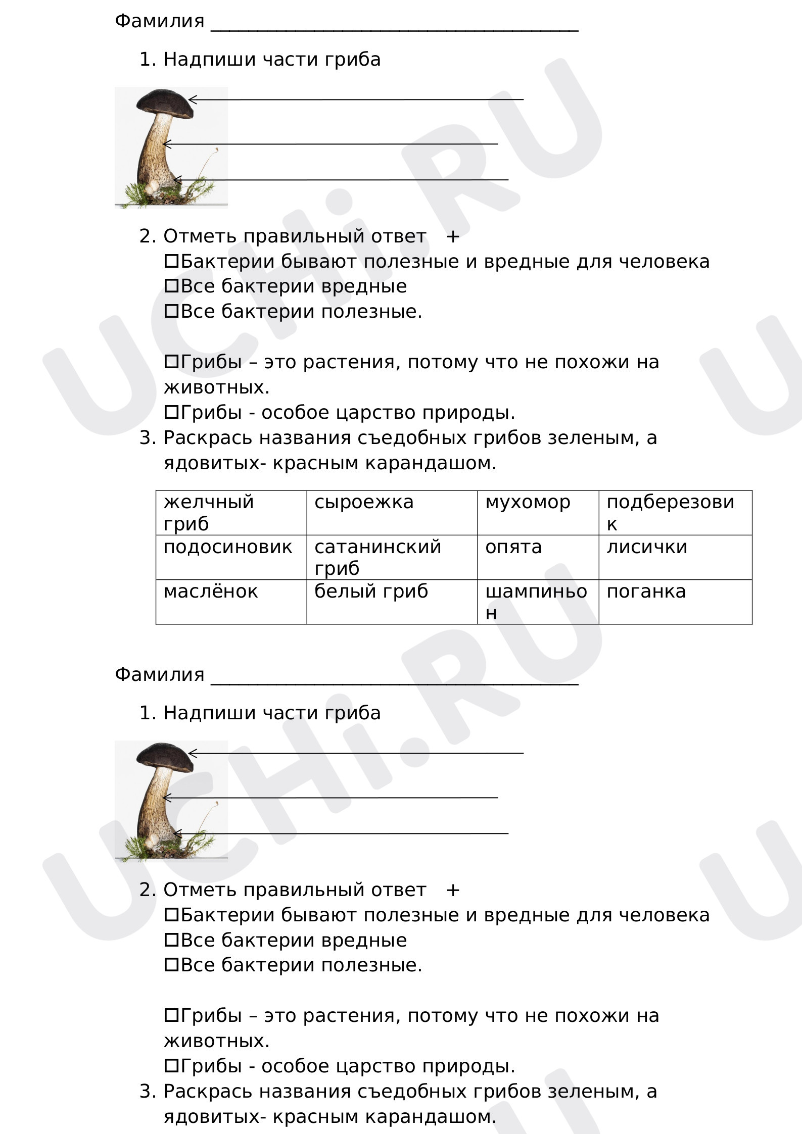 Предпросмотр материала Рабочий лист к уроку окружающего мира. Грибы.