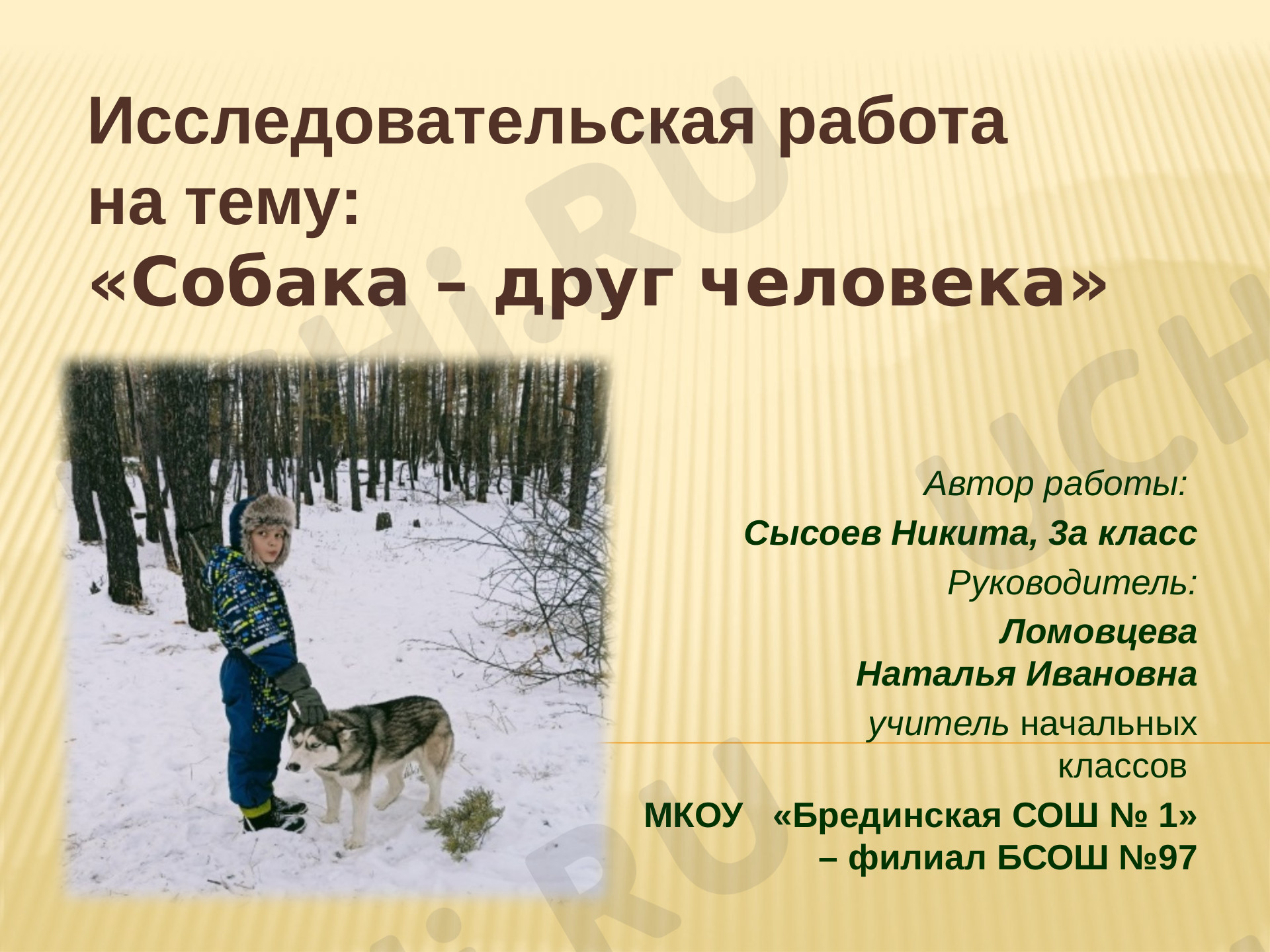 Предпросмотр материала Исследовательская работа "Собака-друг человека"