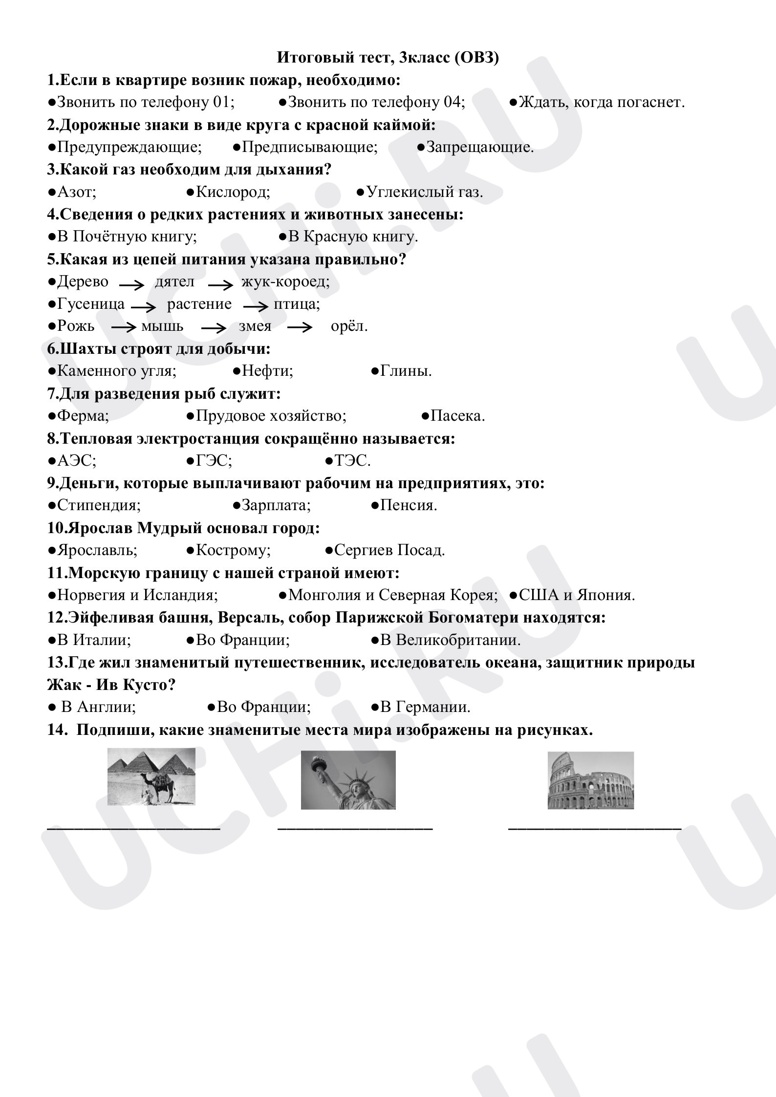Предпросмотр материала Итоговая работа для детей ОВЗ (ЗПР)