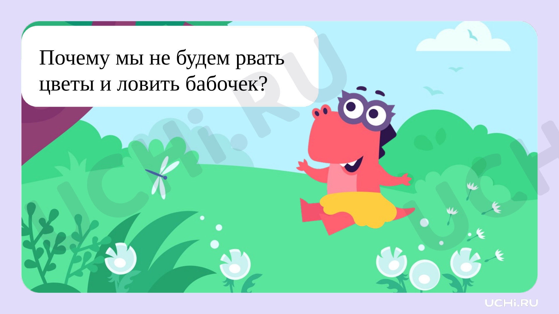 Предпросмотр материала Презентация к уроку окружающего мира. Почему мы не будем рвать цветы и ловить бабочек?