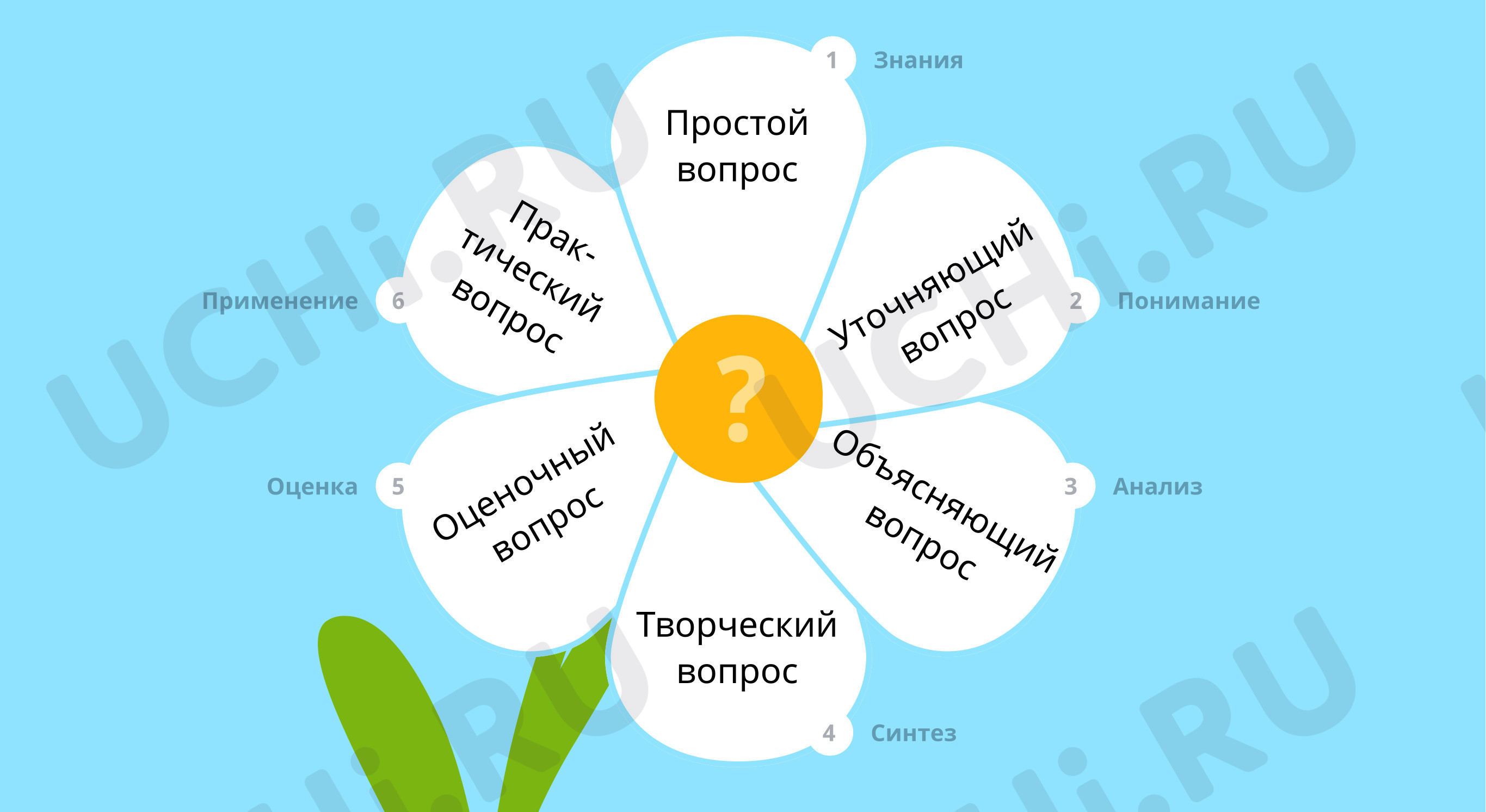 Предпросмотр материала Ромашка Блума