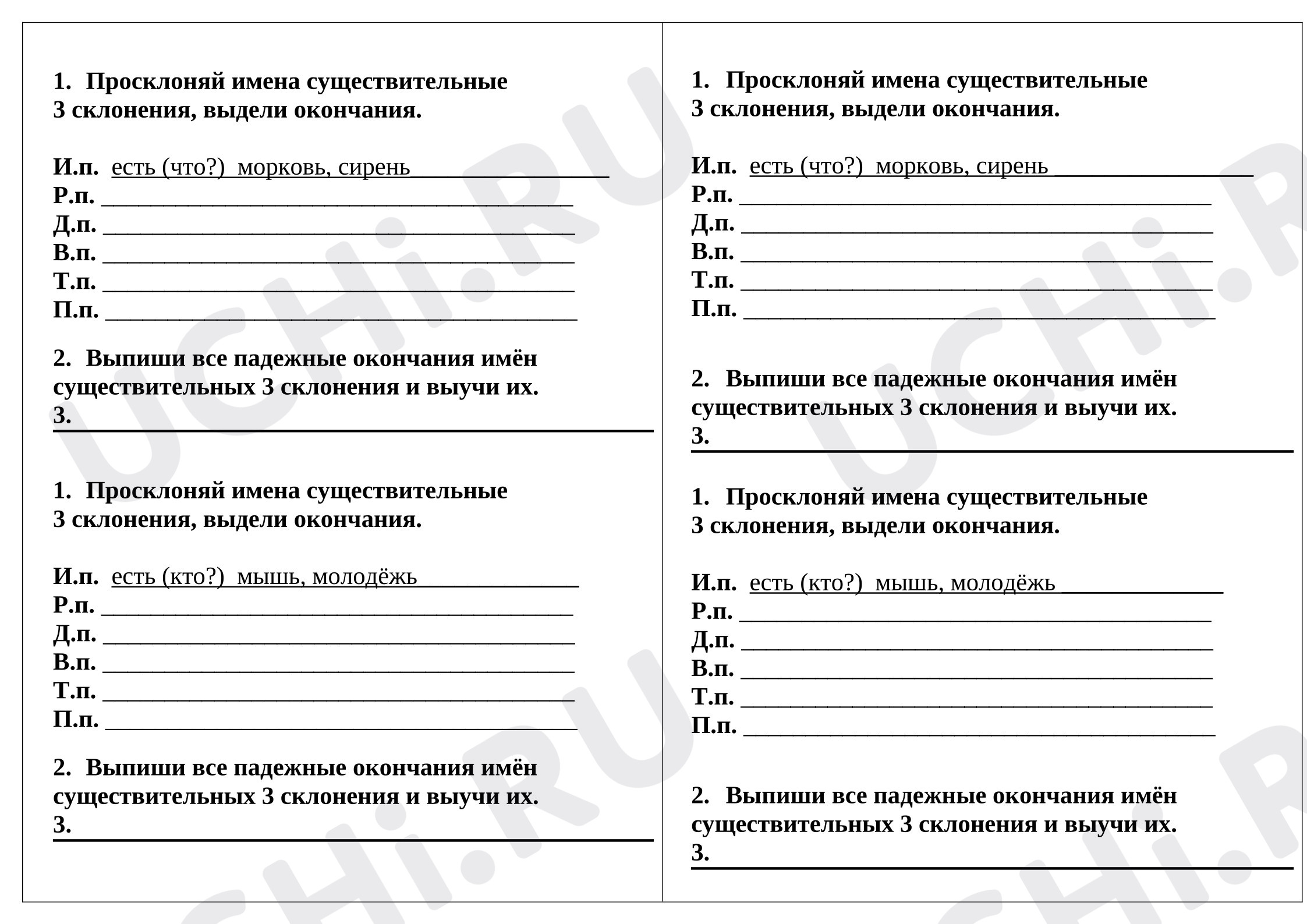 Предпросмотр материала Рабочие листы к уроку русского языка. Тренажёры по склонению имён существительных.