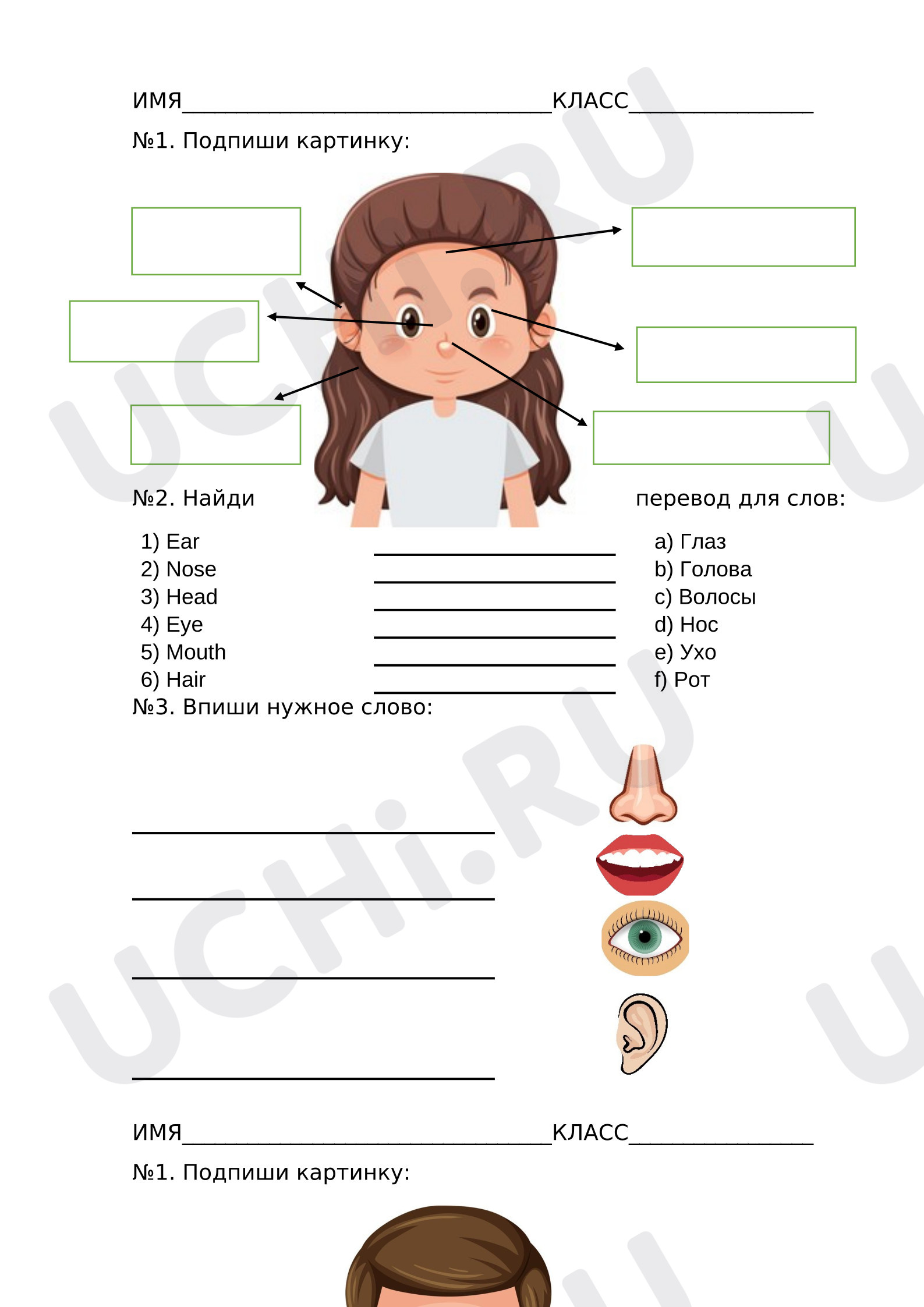 Предпросмотр материала Английский язык. Рабочие листы. Parts of face.