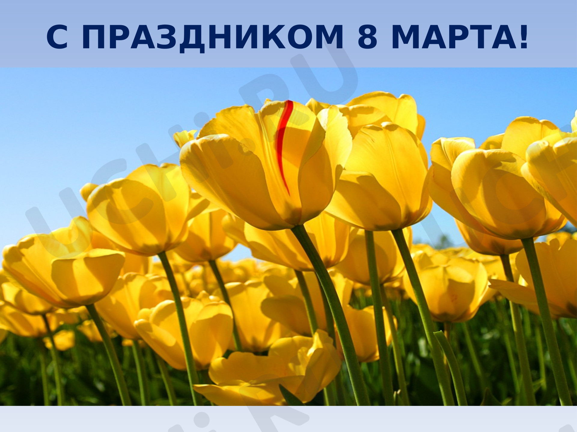 Предпросмотр материала Классный час к 8 марта.