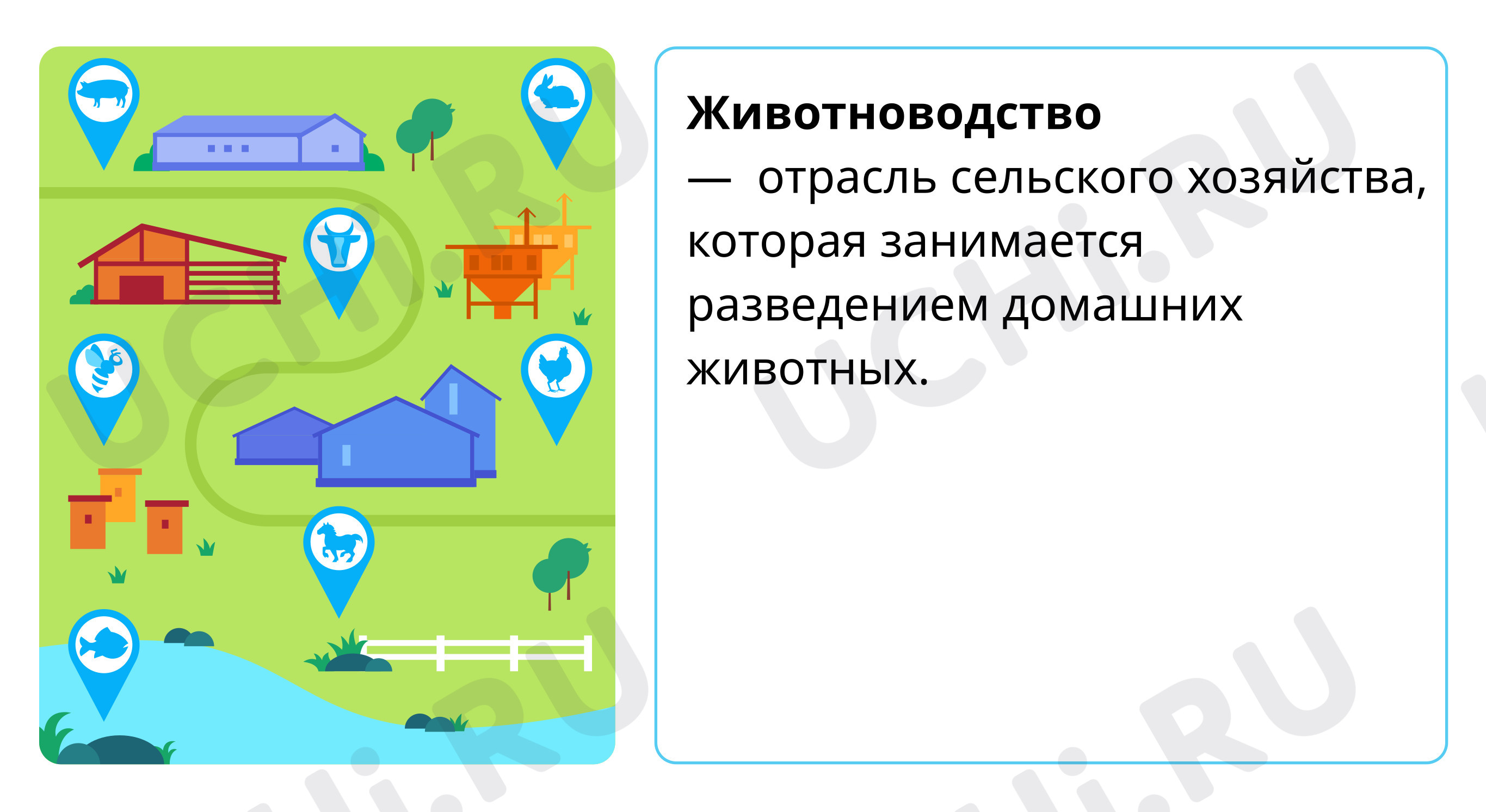 📈 Презентация по теме “Животноводство” для 3 класса | Учи.ру