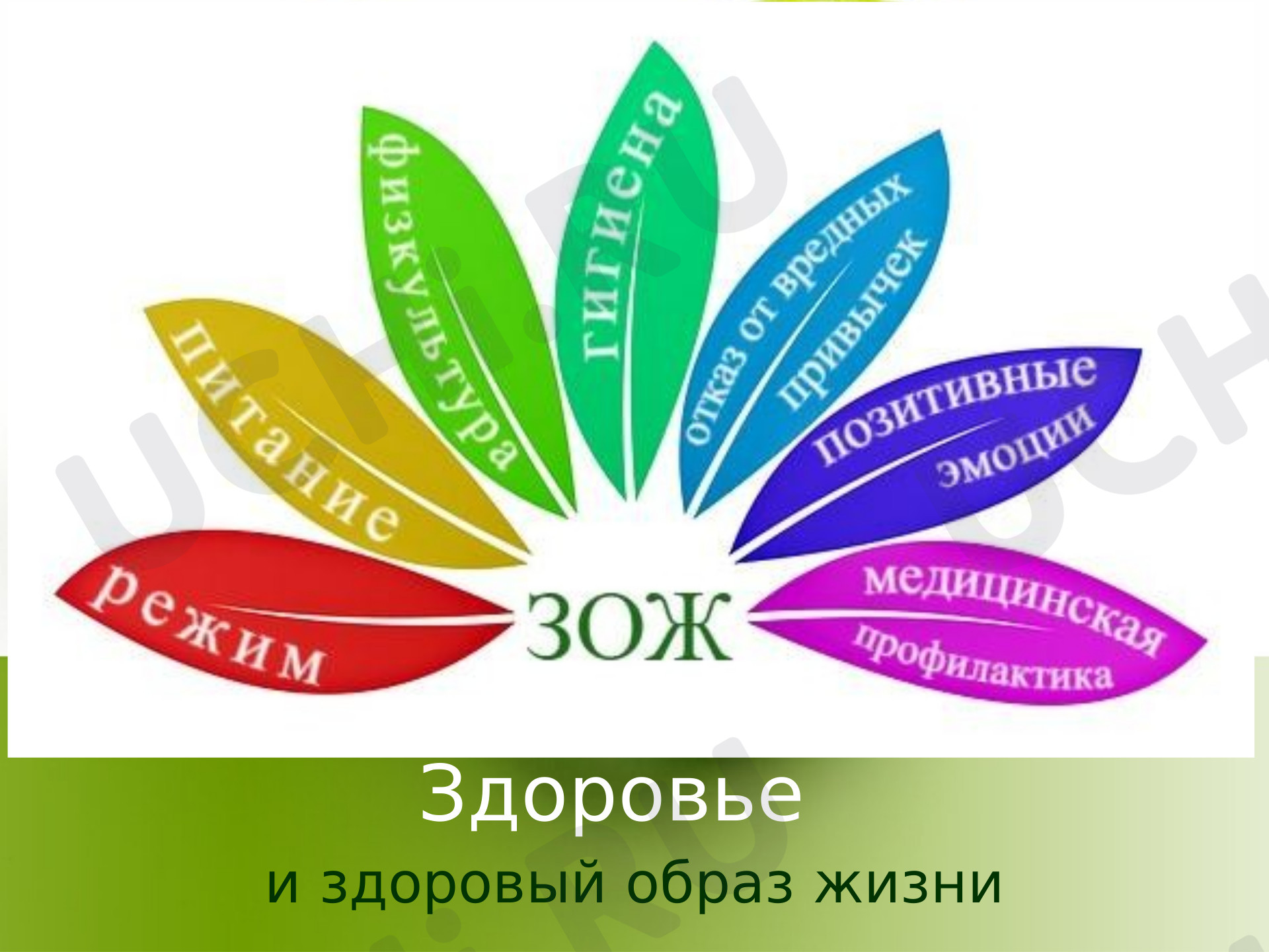 Классные часы, 4 класс, Презентация. Классный час. Здоровье и здоровый образ жизни..pptx