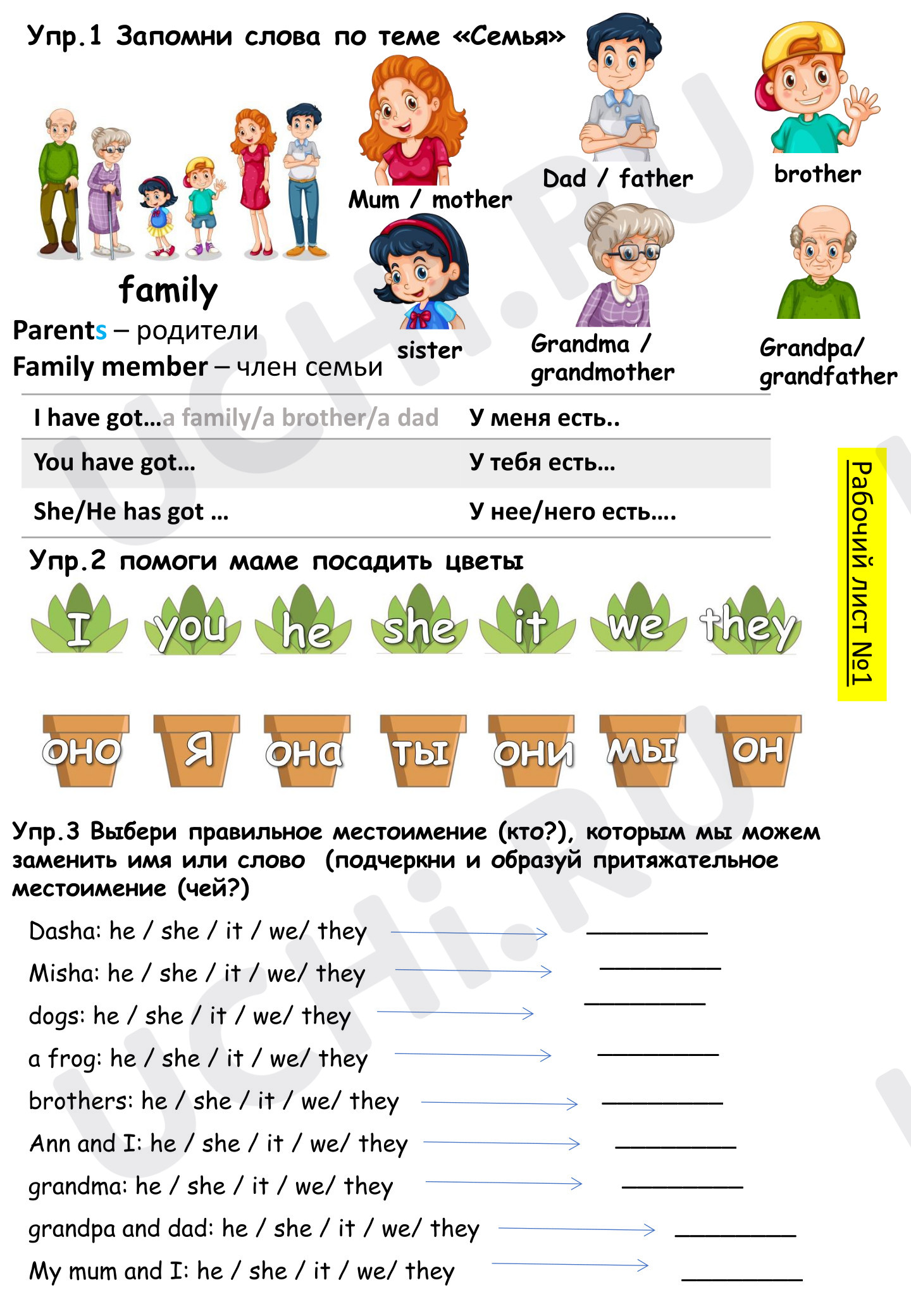 Предпросмотр материала Английския язык. Рабочий лист к уроку по теме: Family.
