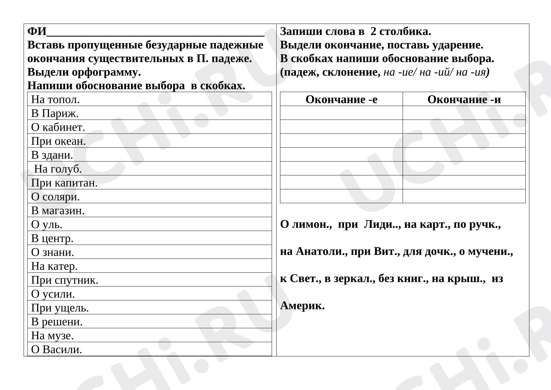 Предпросмотр материала Проверочная работа к уроку русского языка. Падежные окончания существительных 1,2 склонения