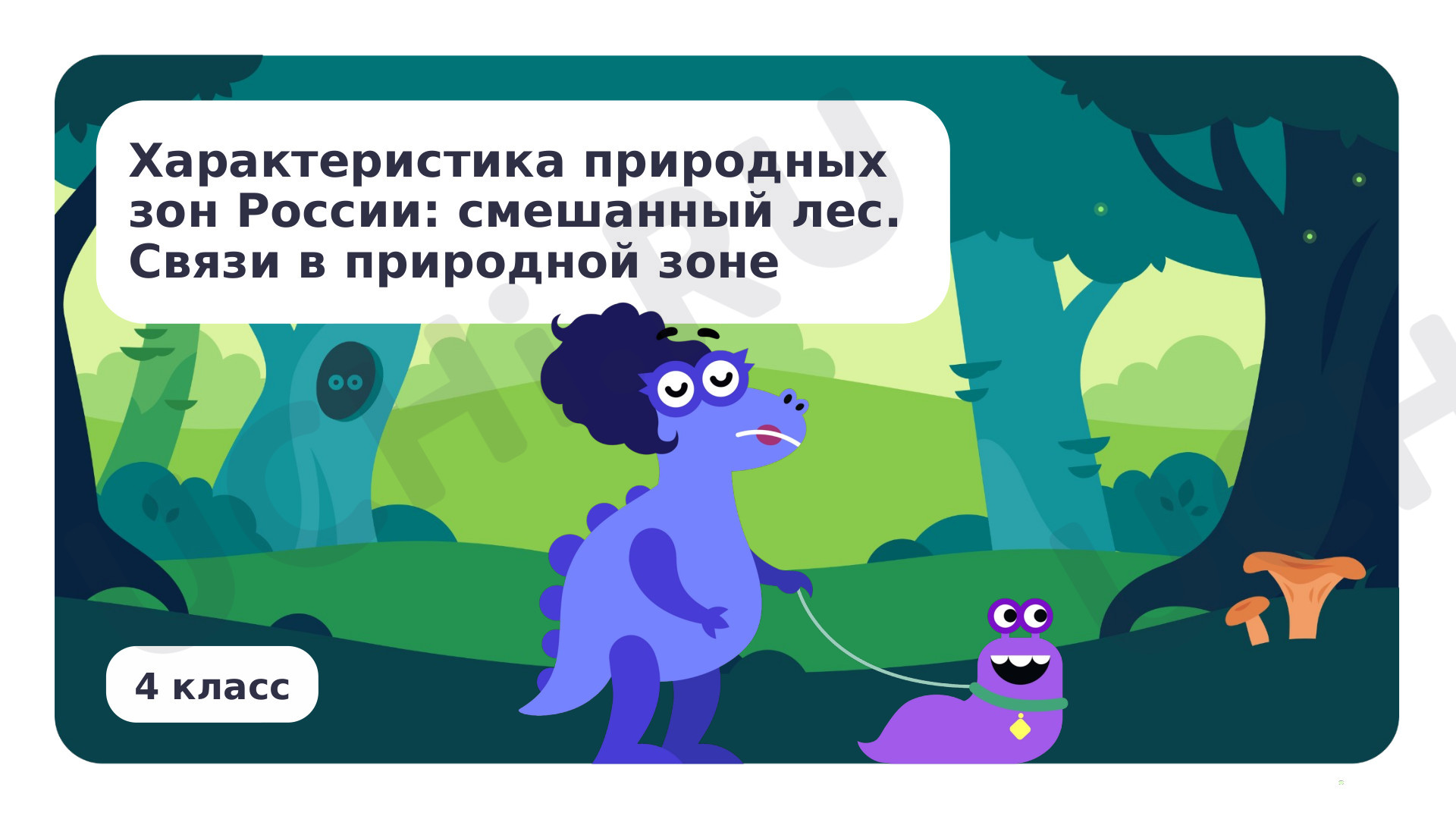 Предпросмотр материала Характеристика природных зон России: смешанный лес. Связи в природной зоне