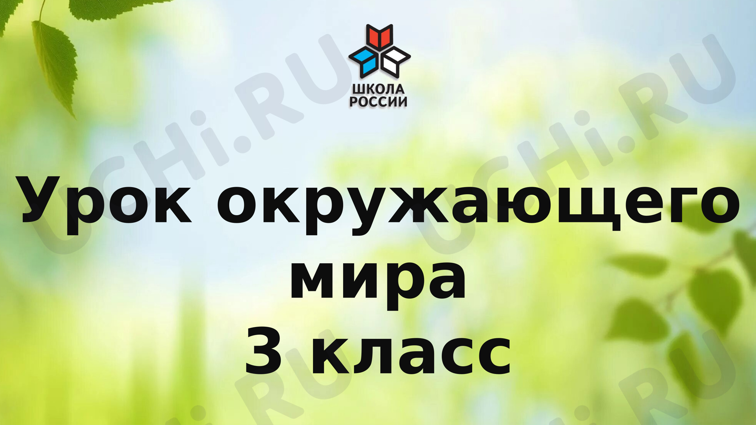 Предпросмотр материала Презентация к уроку окружающего мира. Размножение и распространение растений.