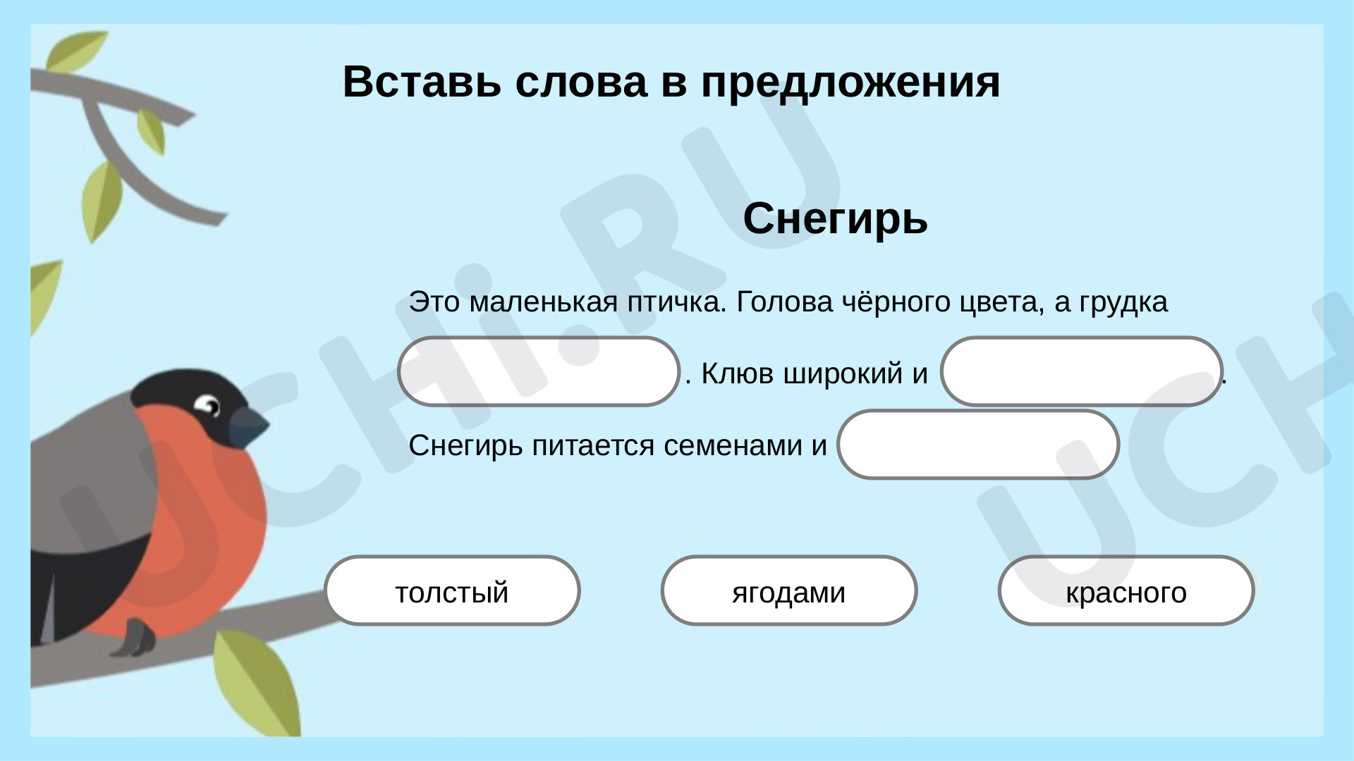 Как зимой помочь птицам, распечатка. Повышенный уровень, окружающий мир 1  класс: Как зимой помочь птицам? | Учи.ру