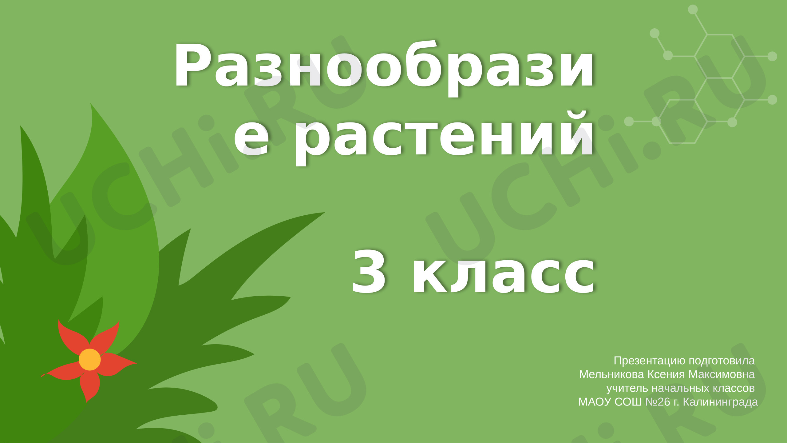 Предпросмотр материала Окружающий мир 3 класс тема Разнообразие растений.