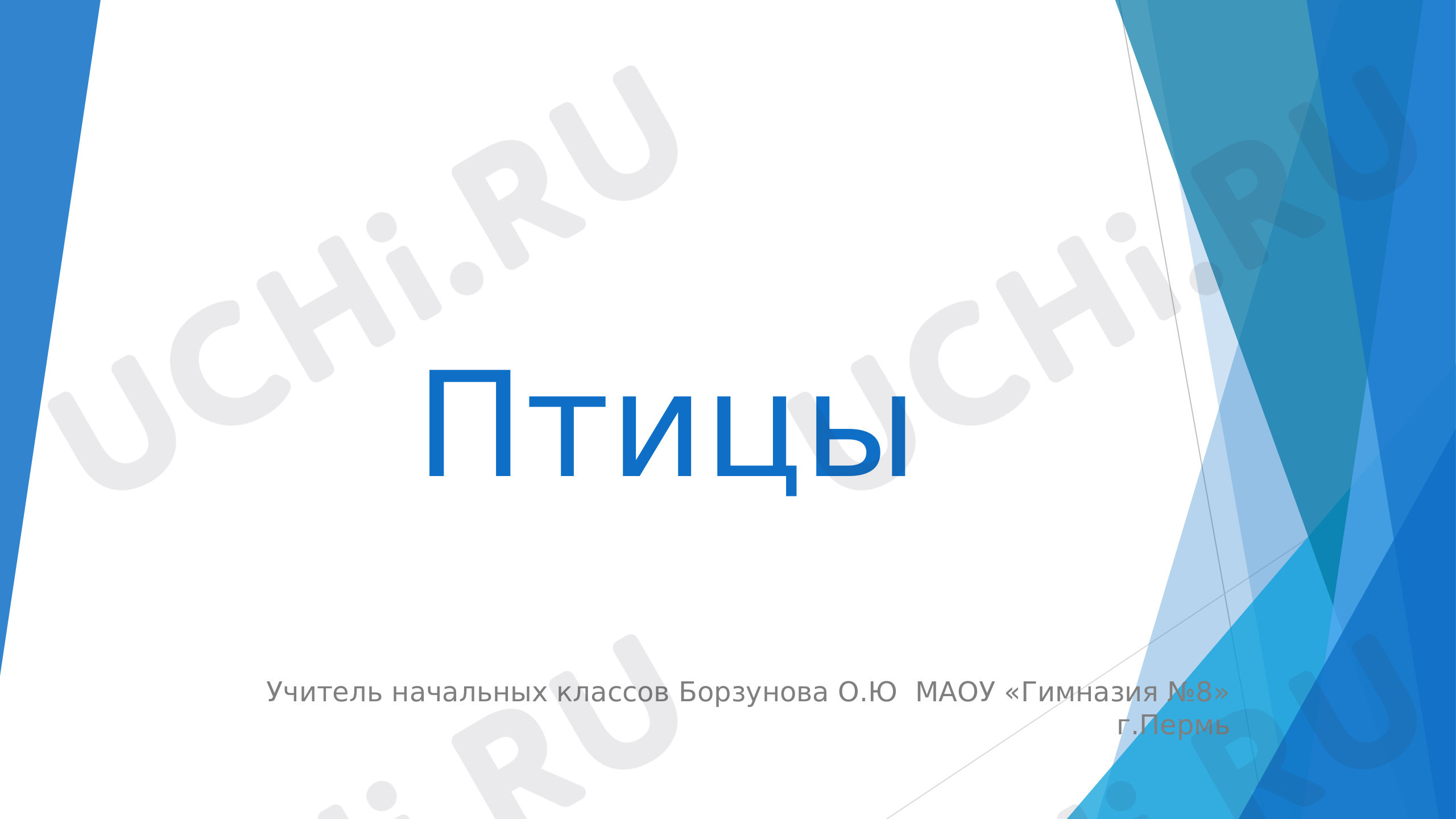 Предпросмотр материала Презентация к уроку окружающего мира "Животный мир.Птицы"