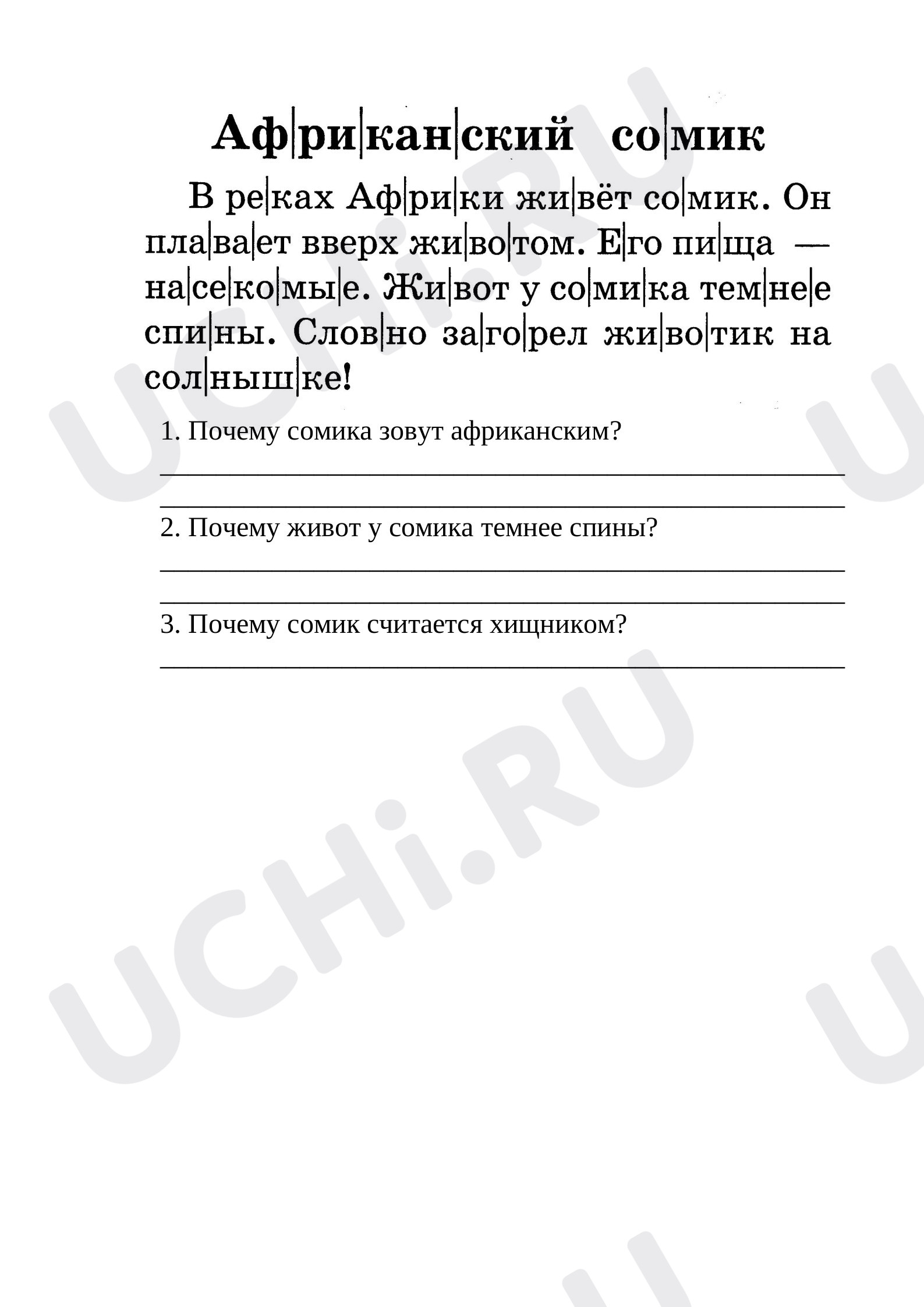 Предпросмотр материала Африканский сомик