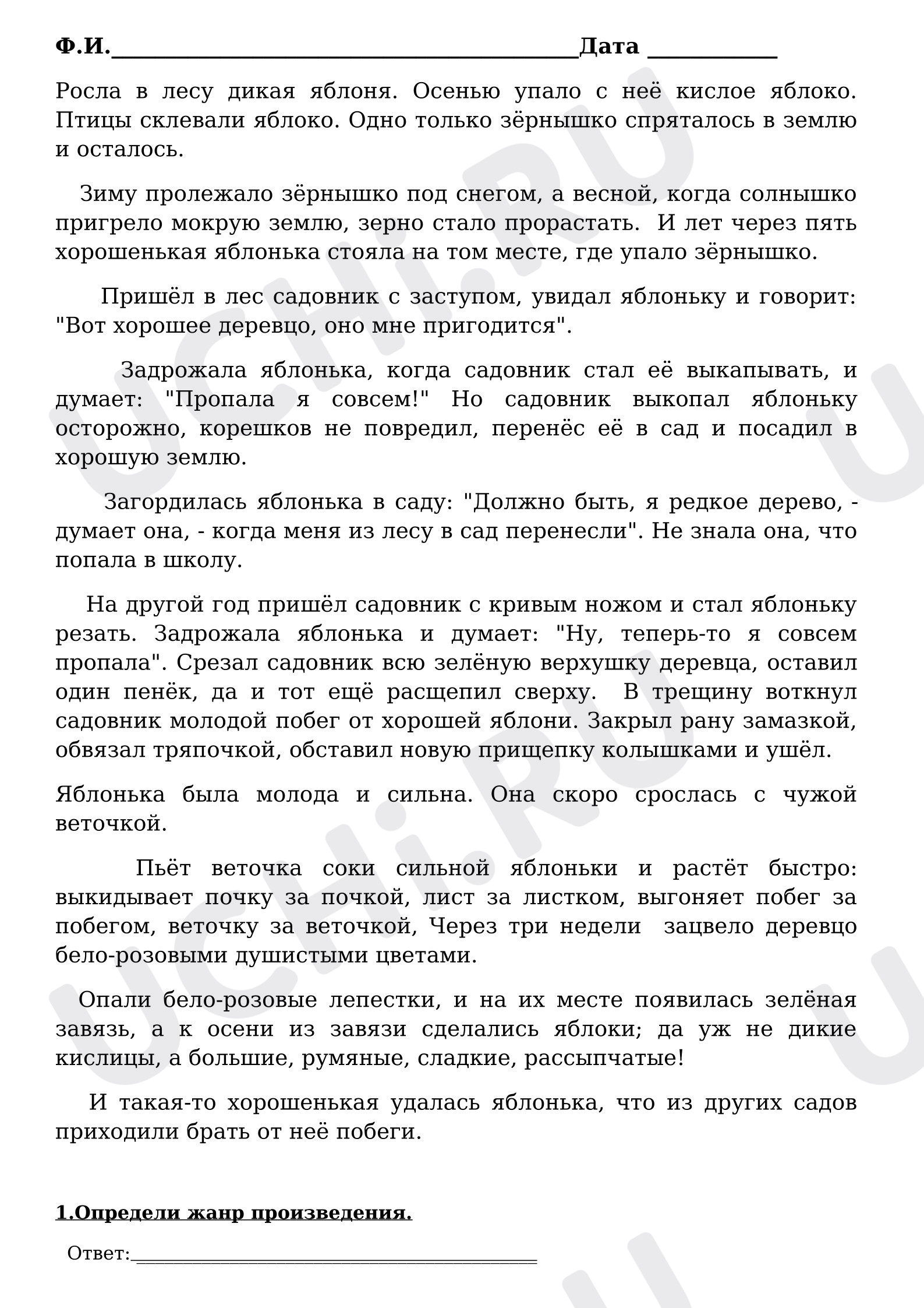 Предпросмотр материала Чтение. Работа с текстом. Проверочная работа.