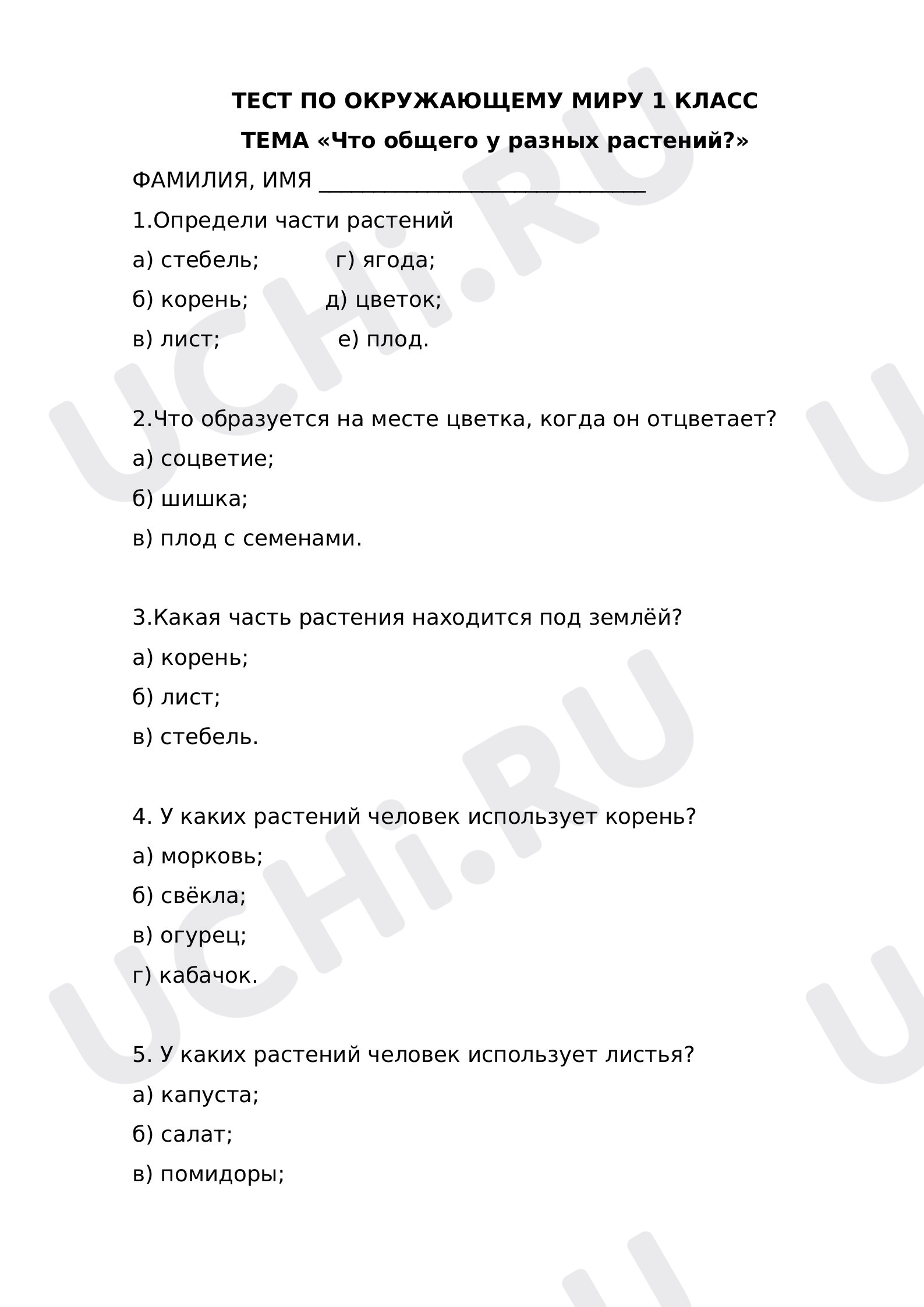 Предпросмотр материала Что общего у разных растений. Тест