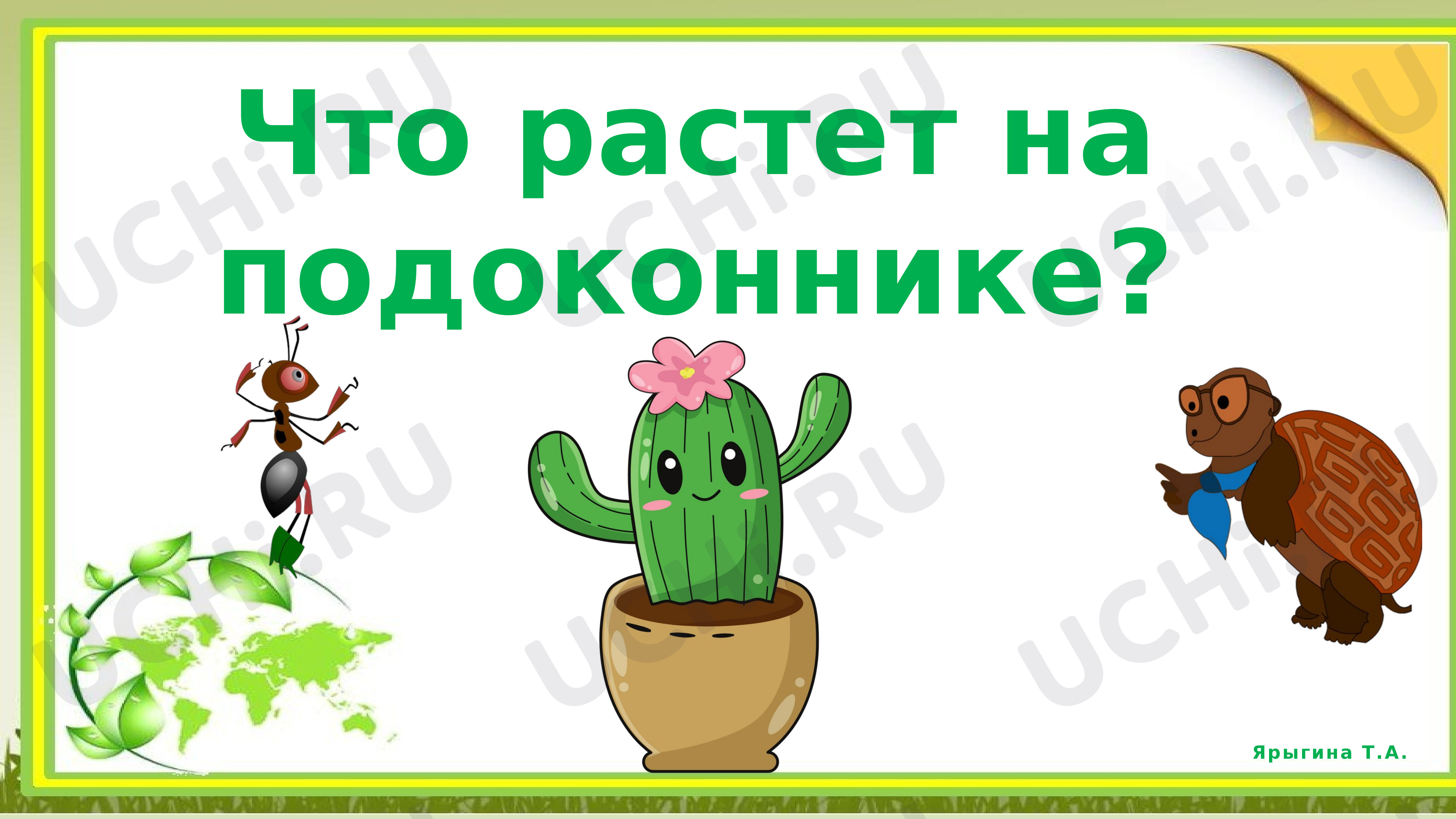 Предпросмотр материала Что растет на клумбе?