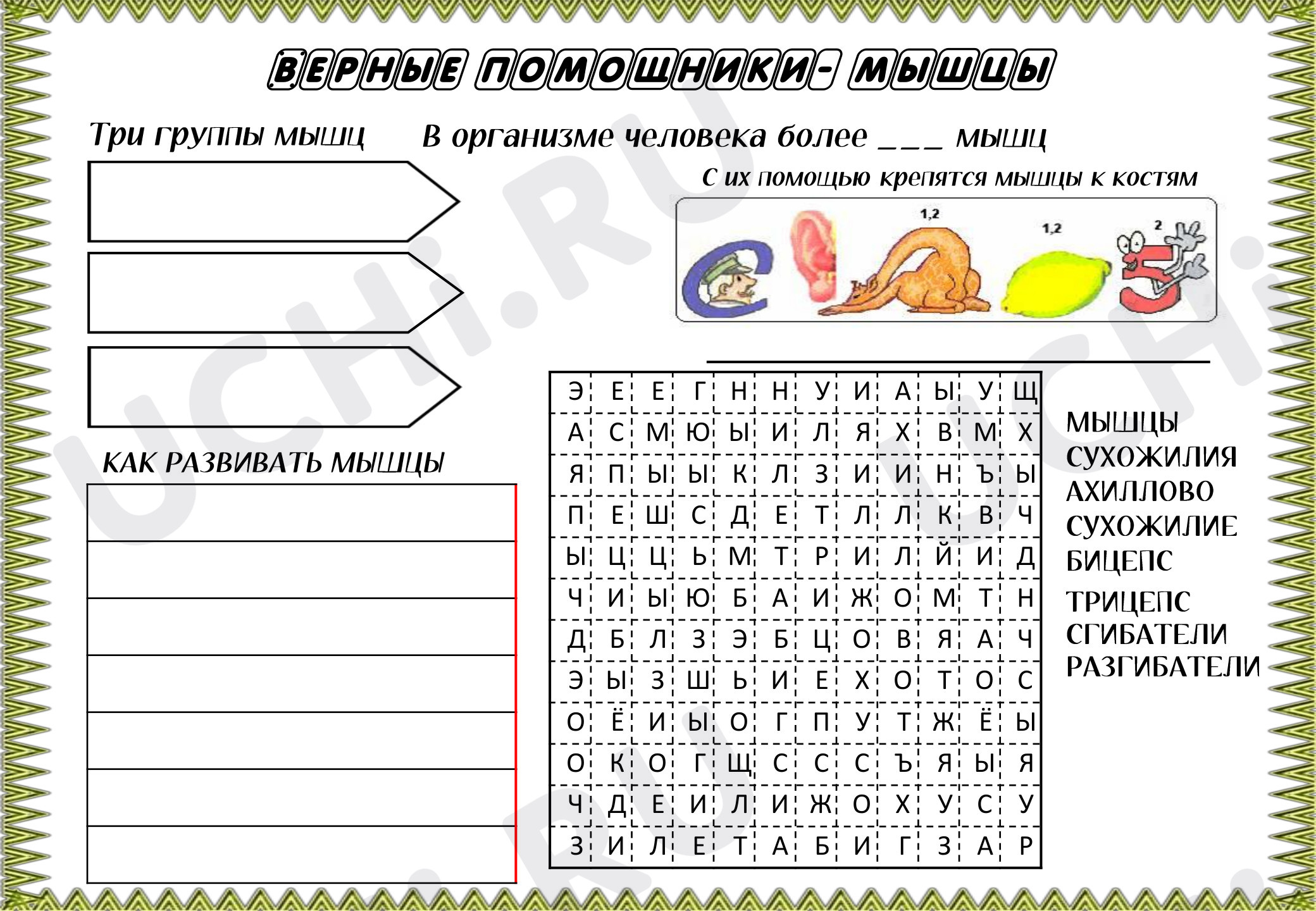 Рабочий лист по теме человек 3 класс. Рабочий лист по теме человек 3 класс