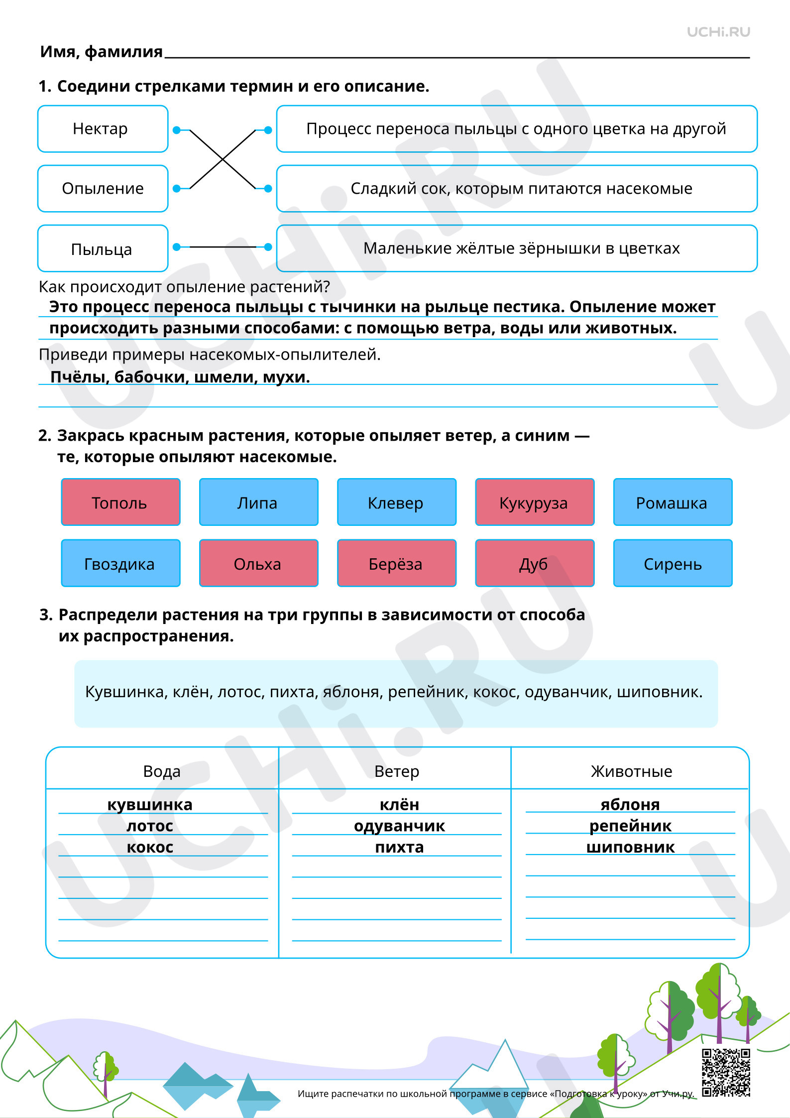 Предпросмотр материала Как растения размножаются? Ответы