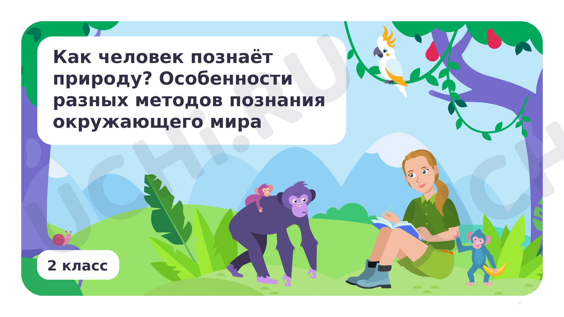 Предпросмотр материала Как человек познает природу?
