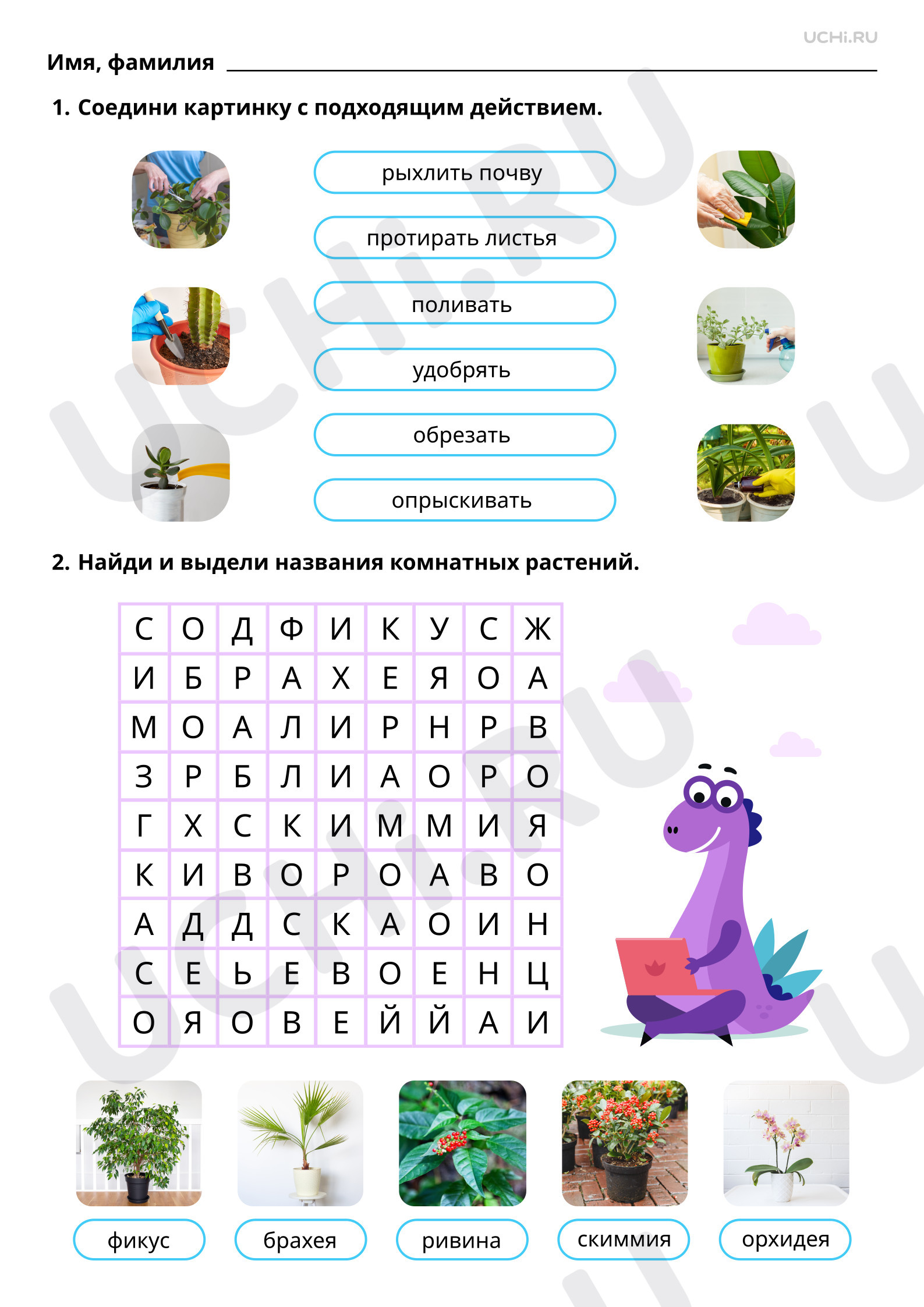 📒 Рабочий лист №3 по теме “Как мы ухаживаем за растениями (практическая ...