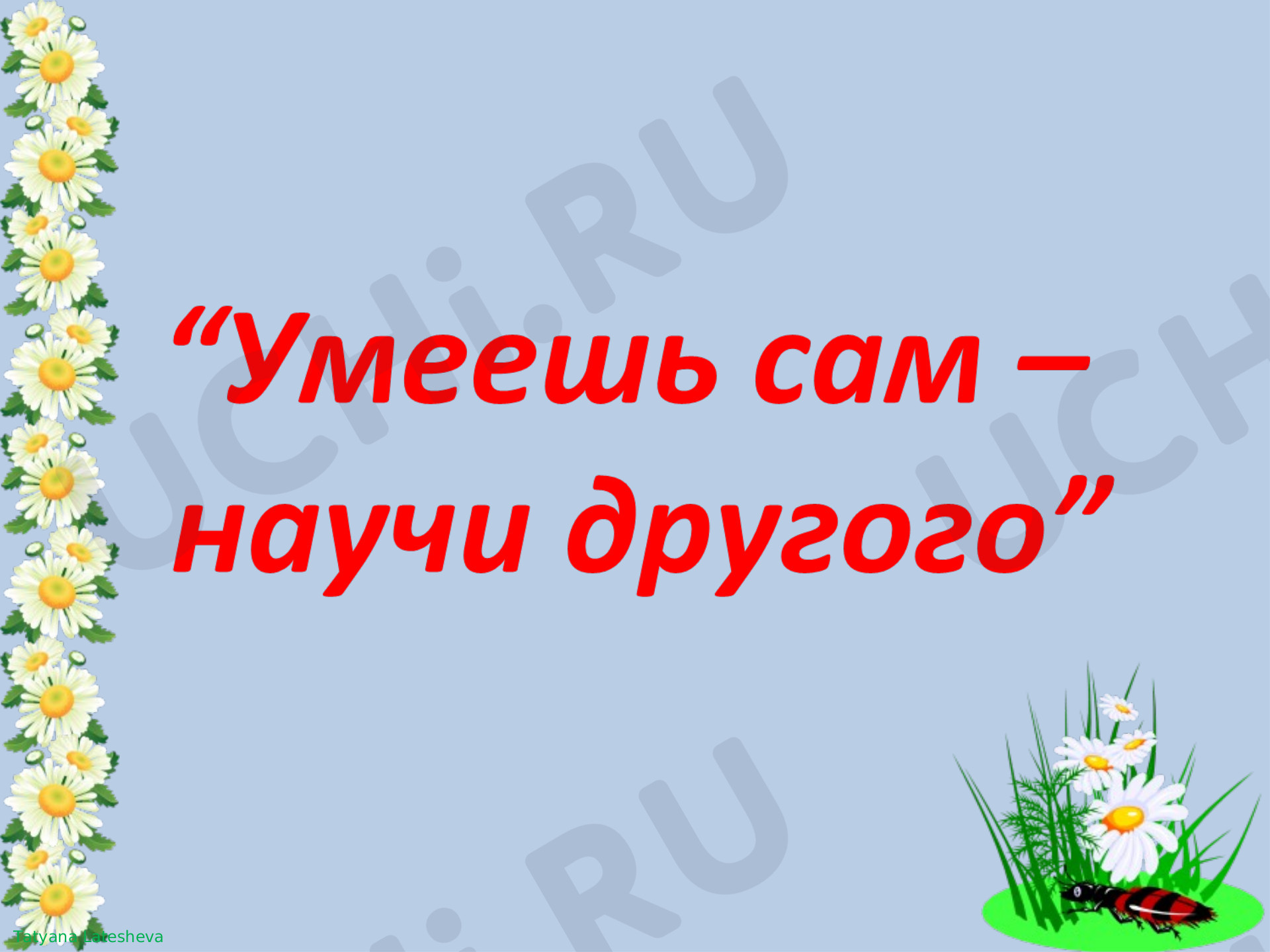 Предпросмотр материала Презентация. Ветка сакуры.