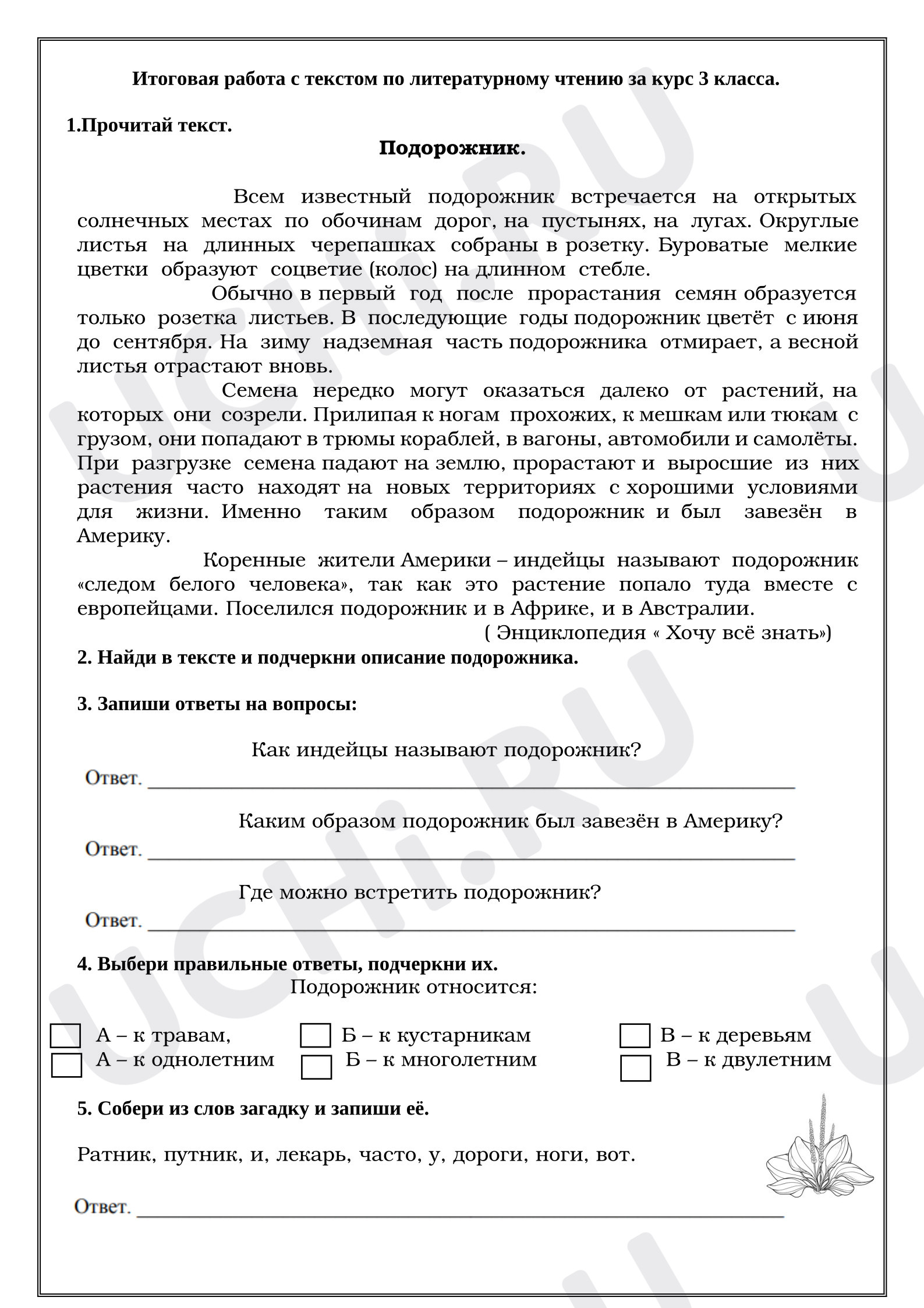 Предпросмотр материала Итоговая работа с текстом по литературному чтению за курс 3 класса. Подорожник.